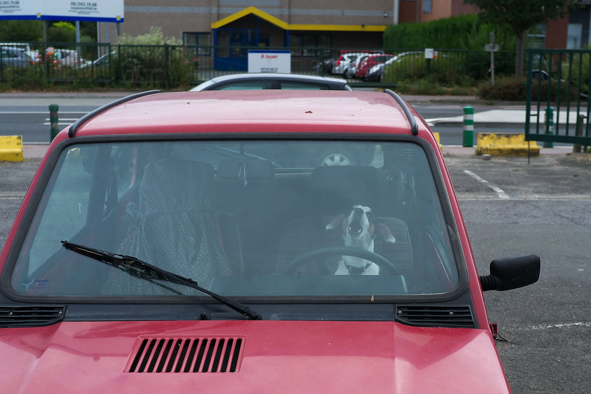 DSCF0136.jpg