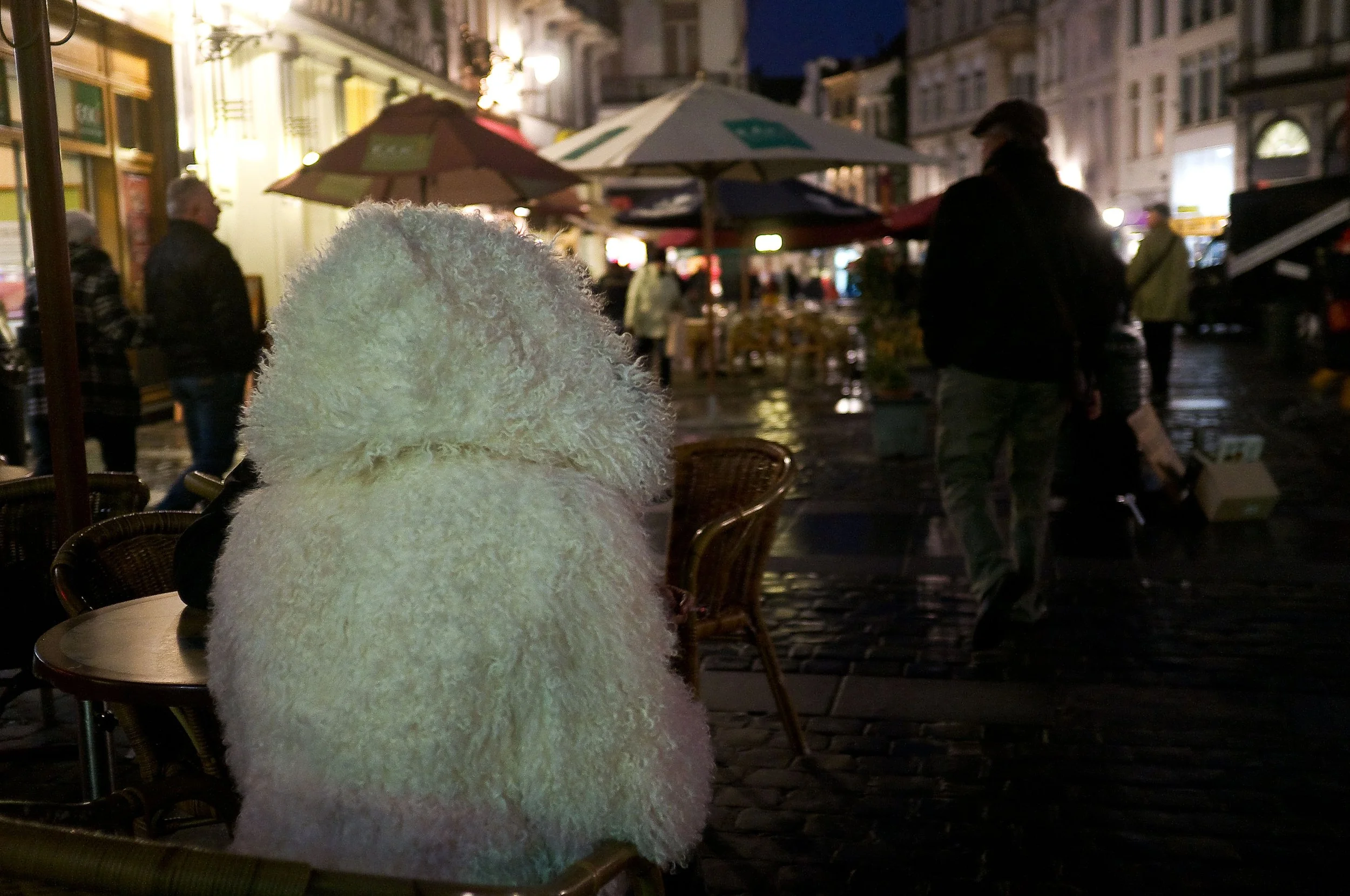 DSCF0381.jpg