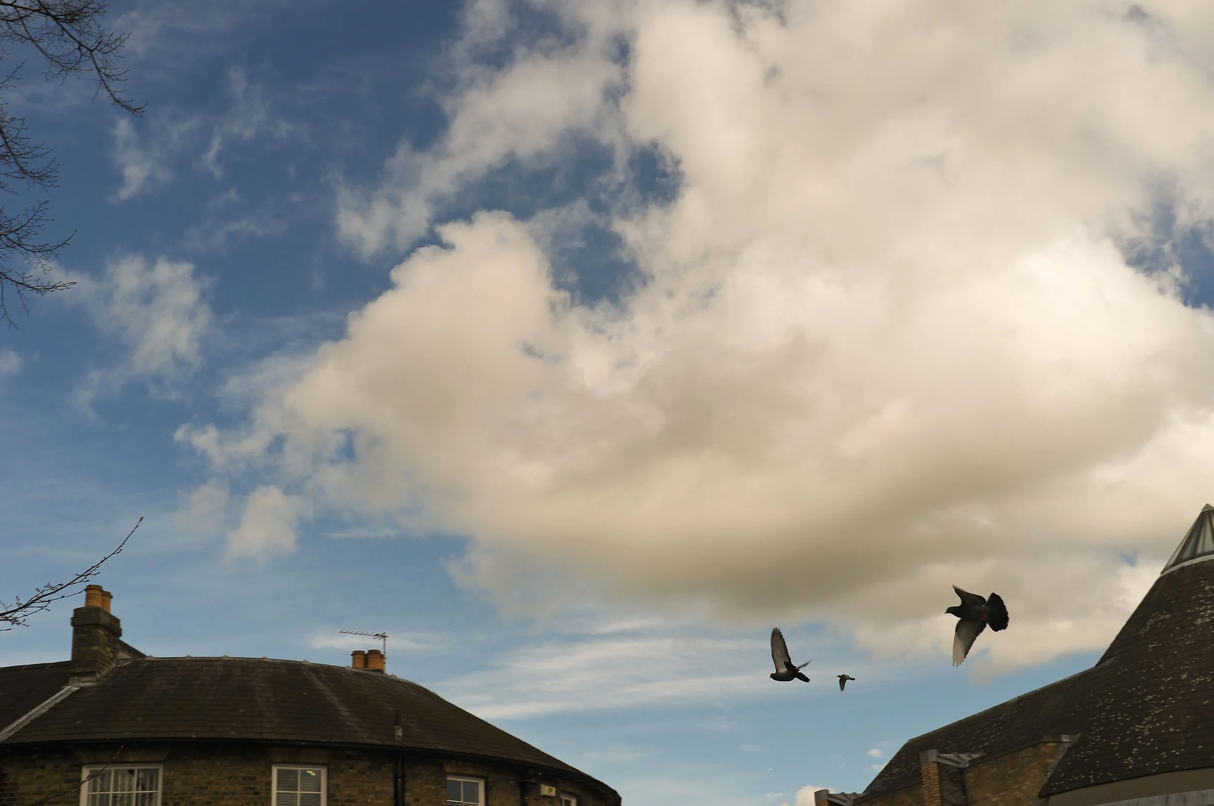 DSCF0917.jpg
