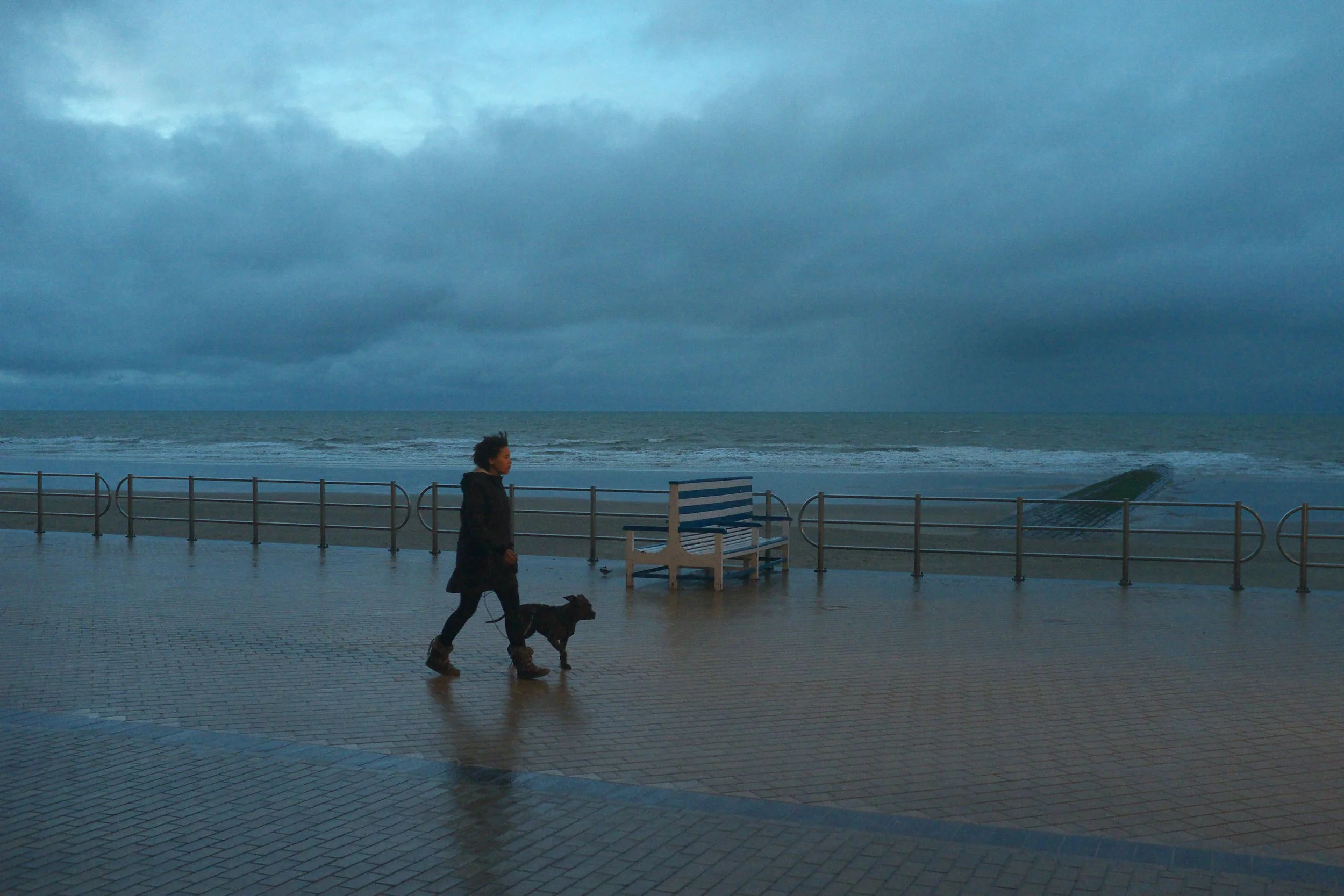 DSCF1031.jpg