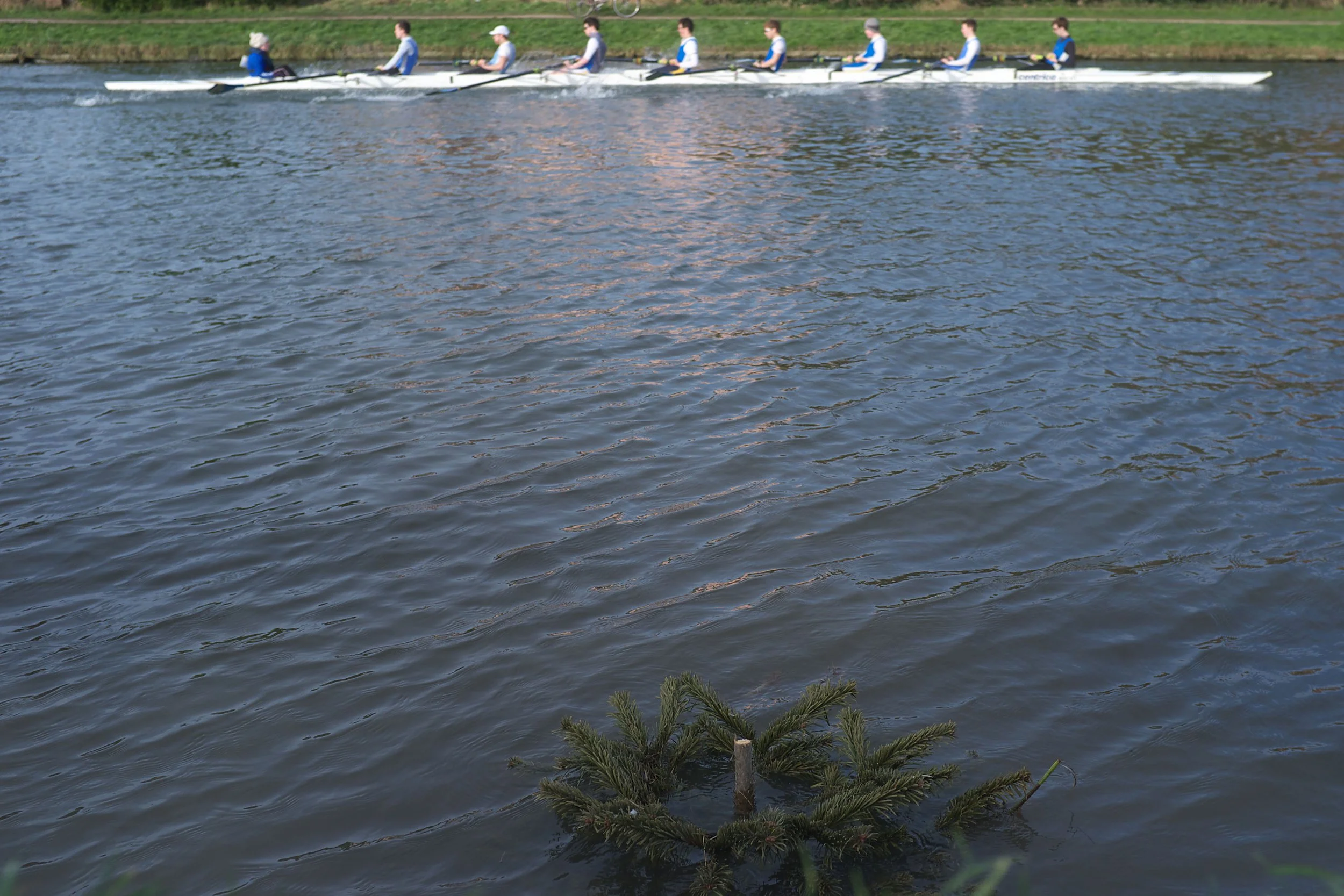DSCF2265.jpg