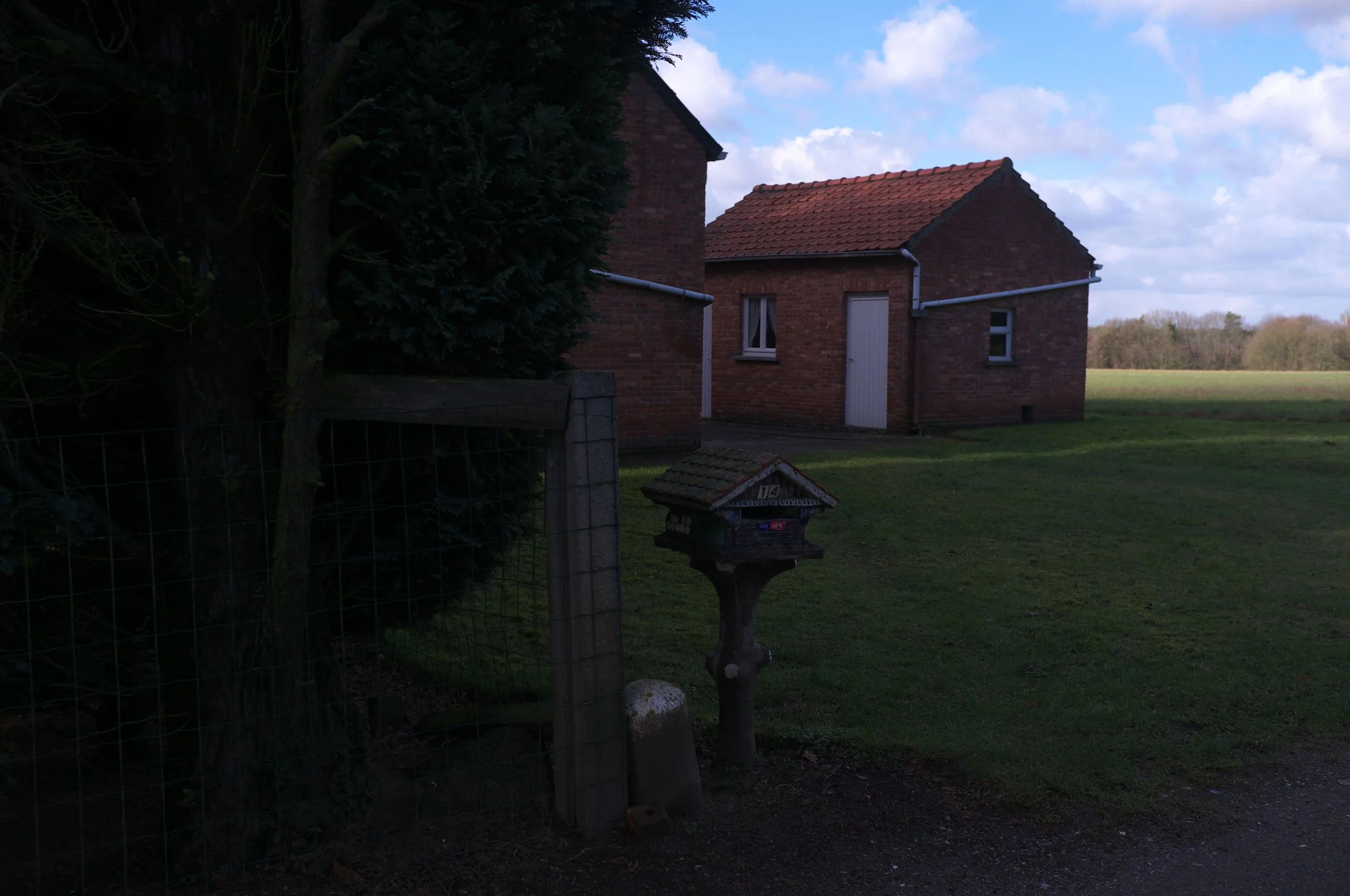 DSCF2409.jpg