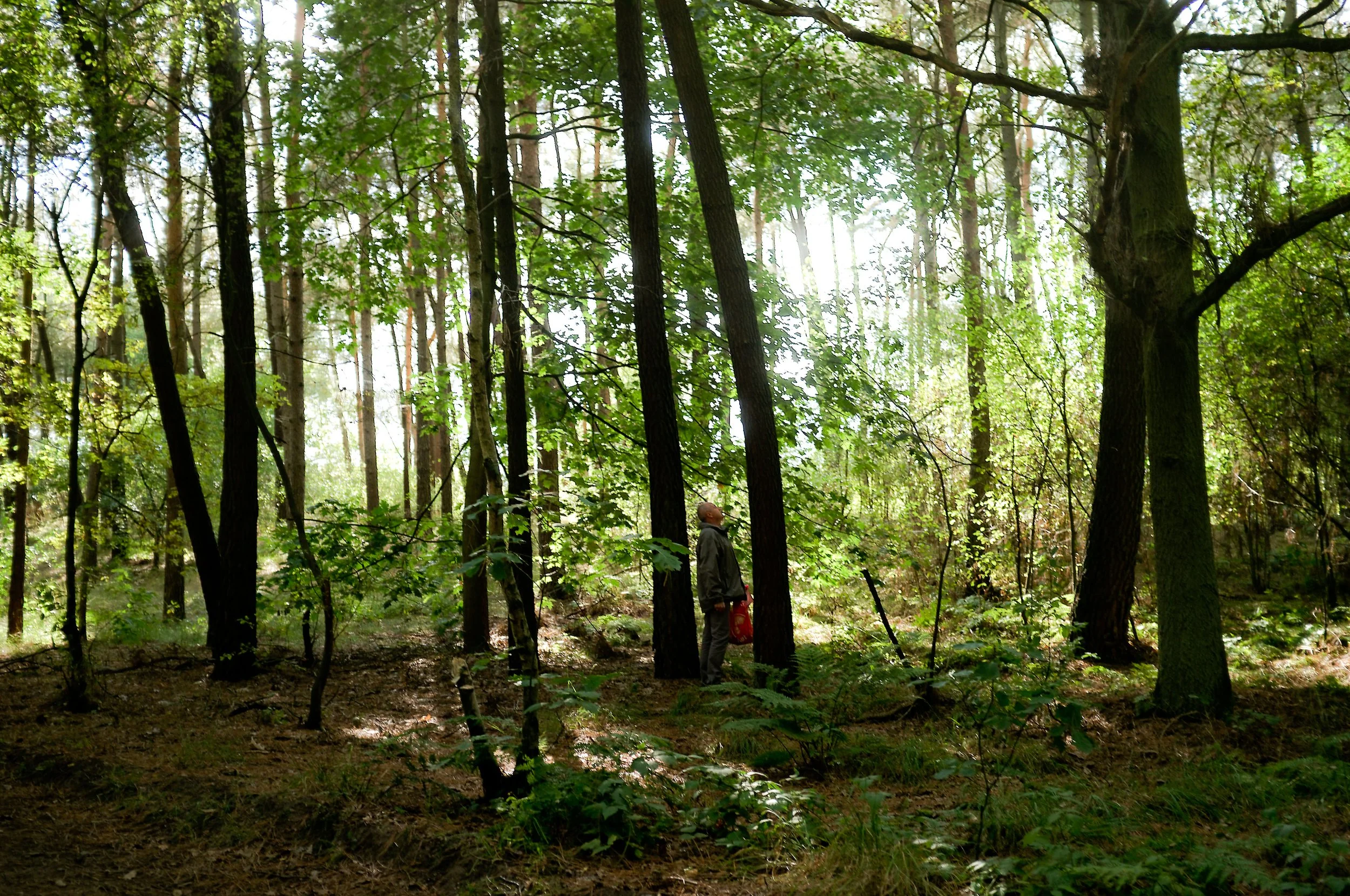 DSCF2484.jpg