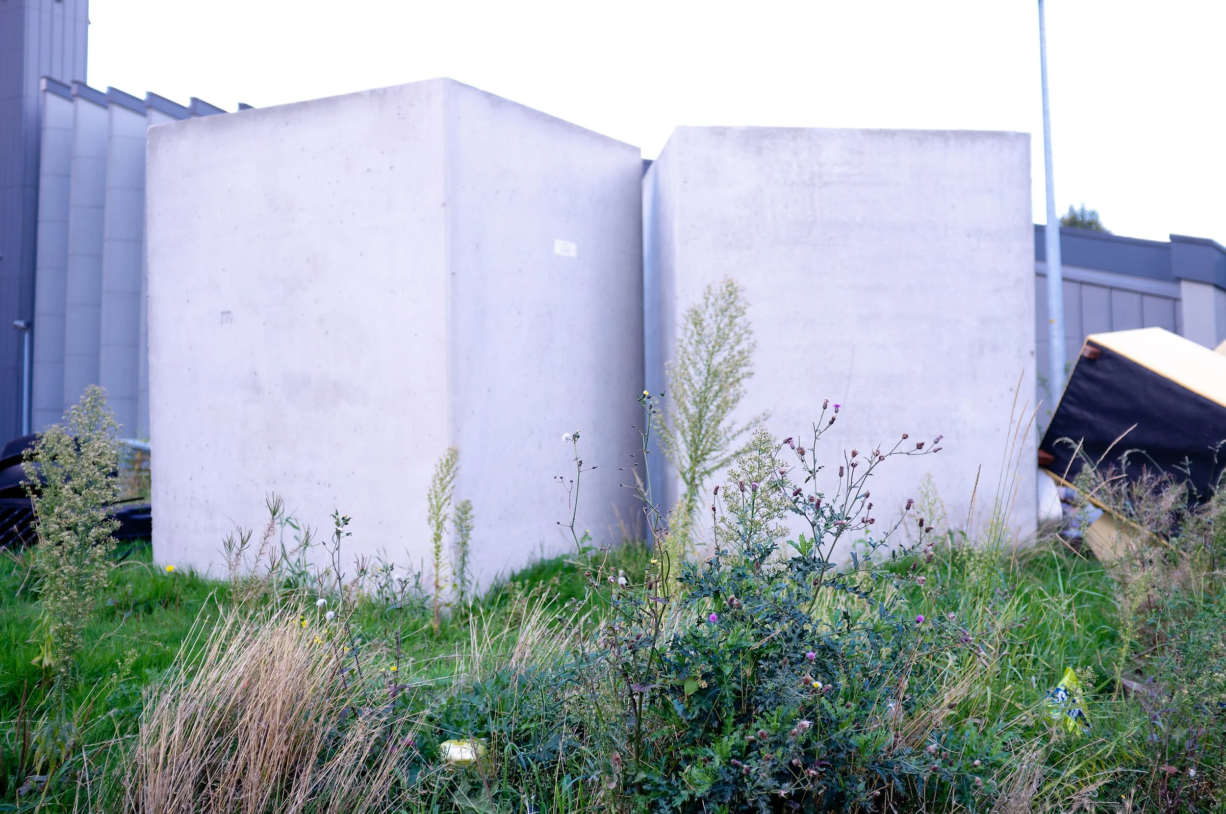 DSCF3960.jpg