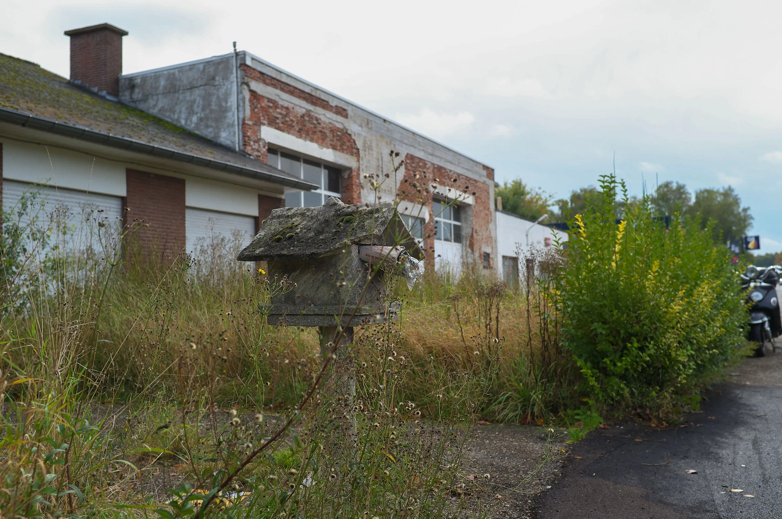 DSCF4395.jpg