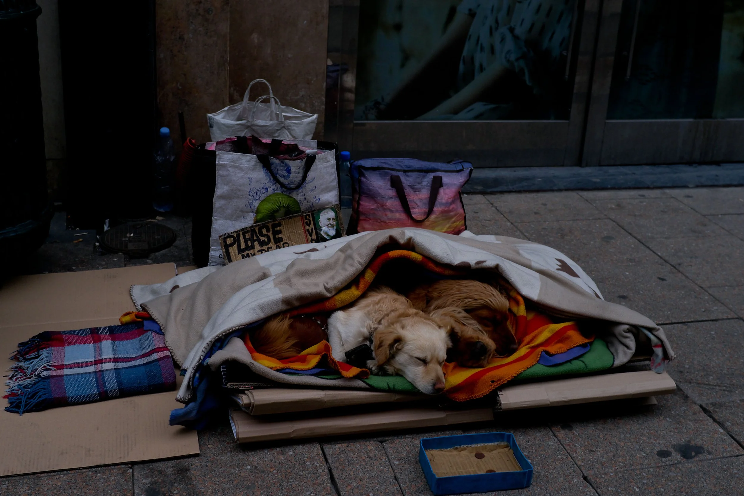 DSCF5849.jpg