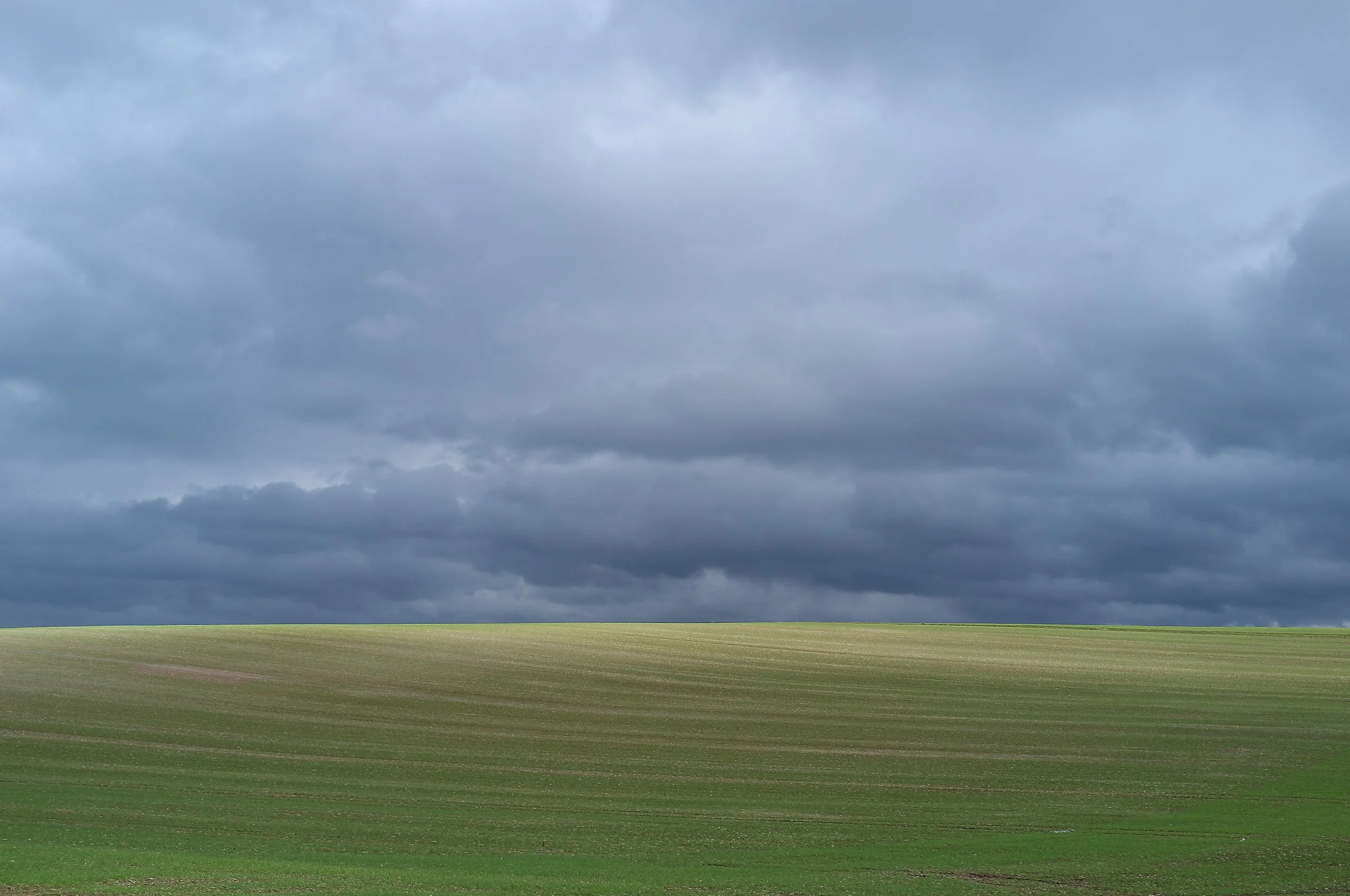 DSCF6361.jpg