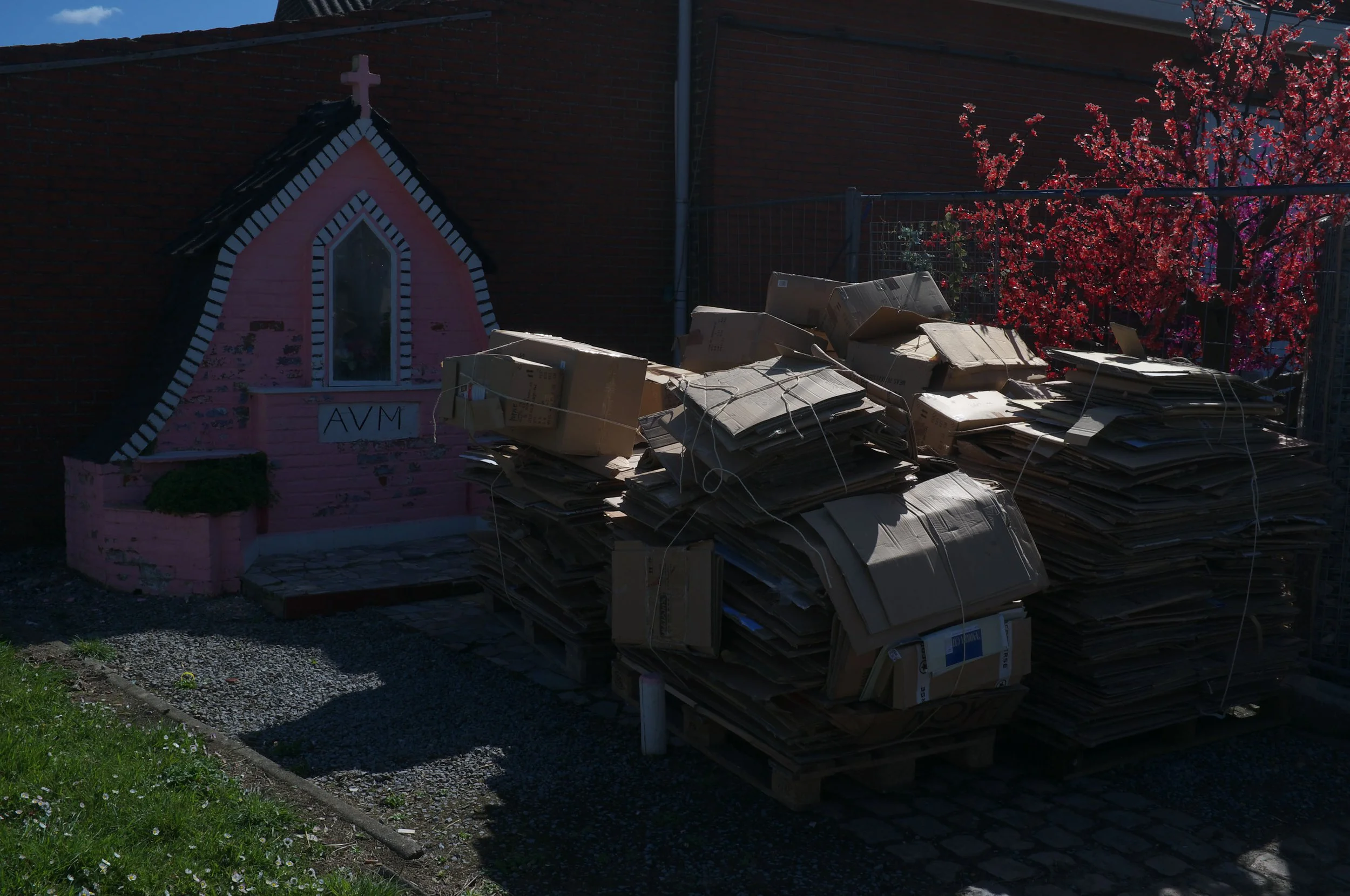 DSCF6739.jpg