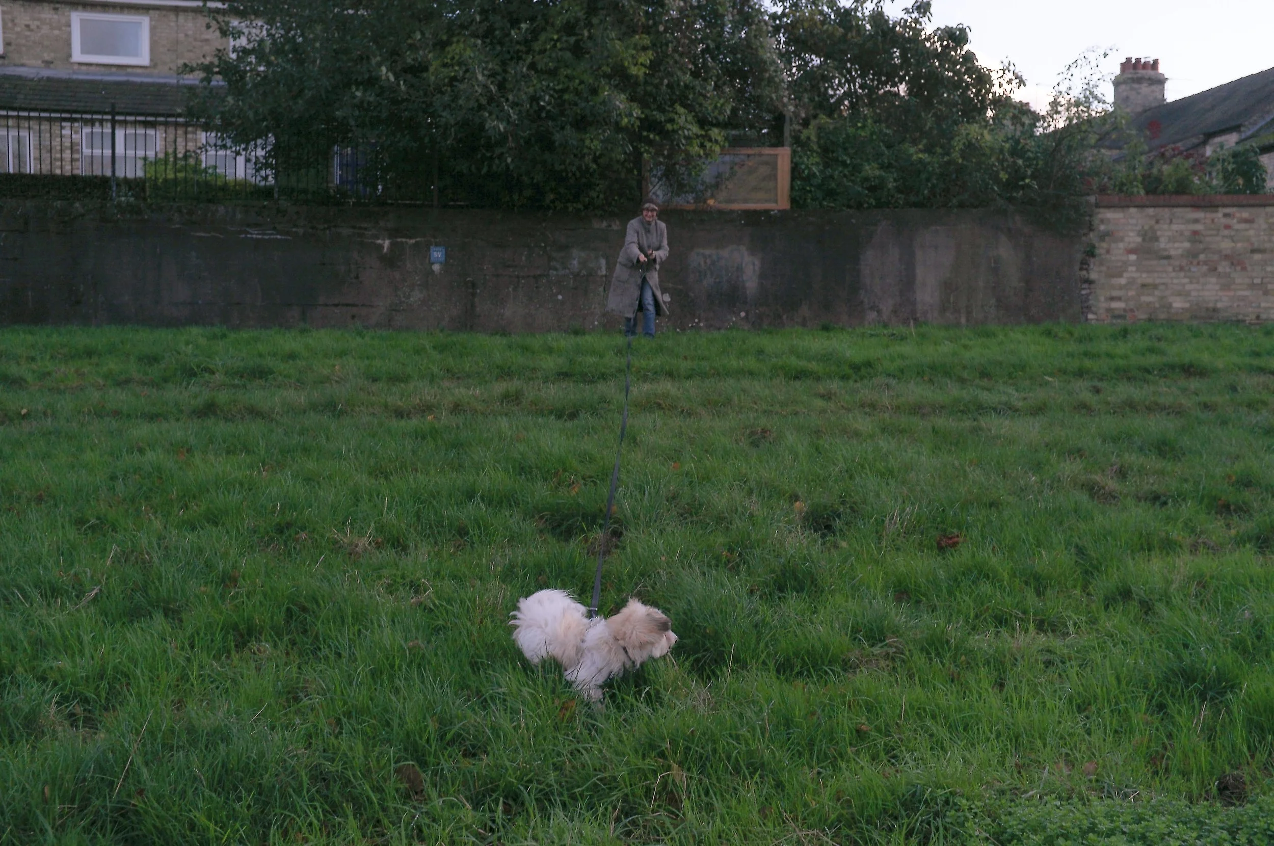 DSCF6819.jpg