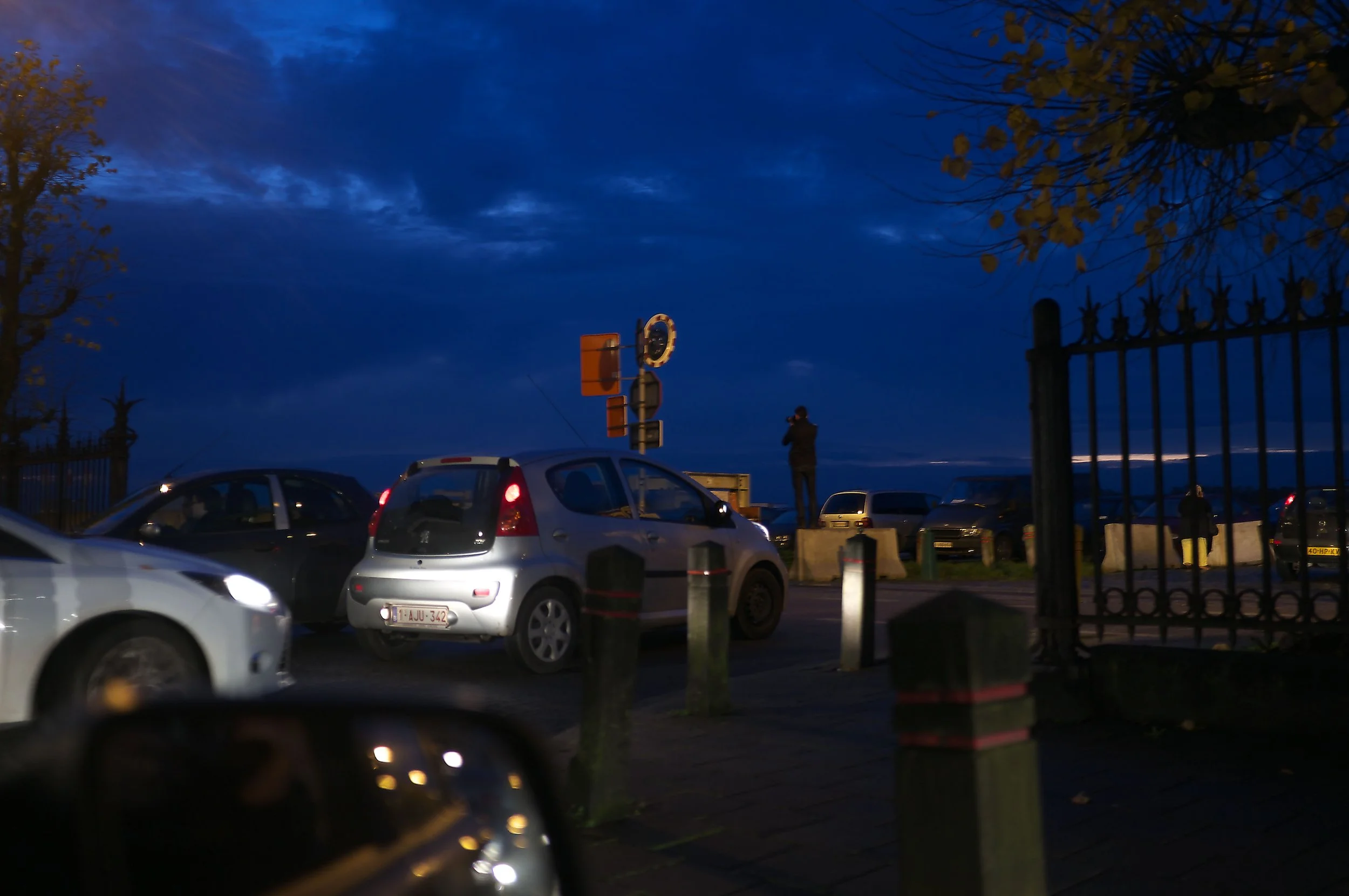 DSCF7365.jpg