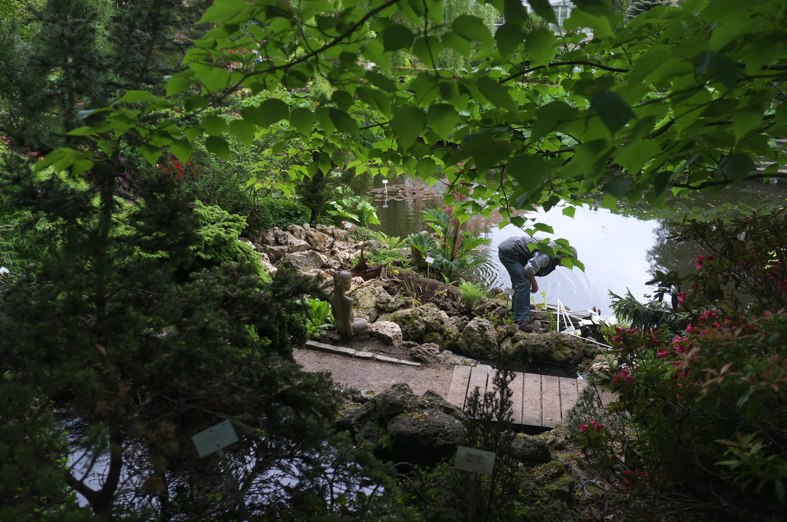 DSCF7695.jpg
