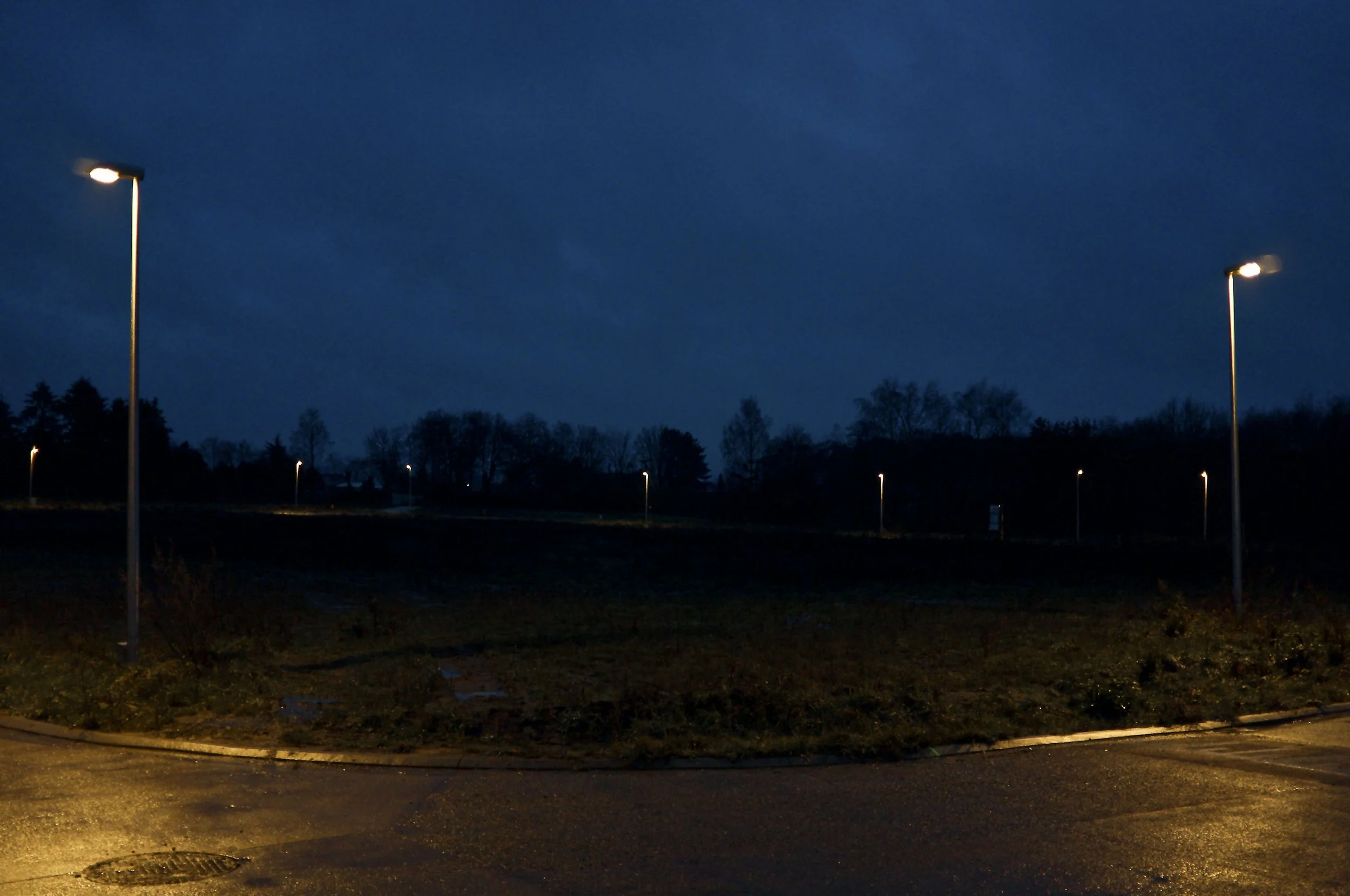 DSCF8450.jpg