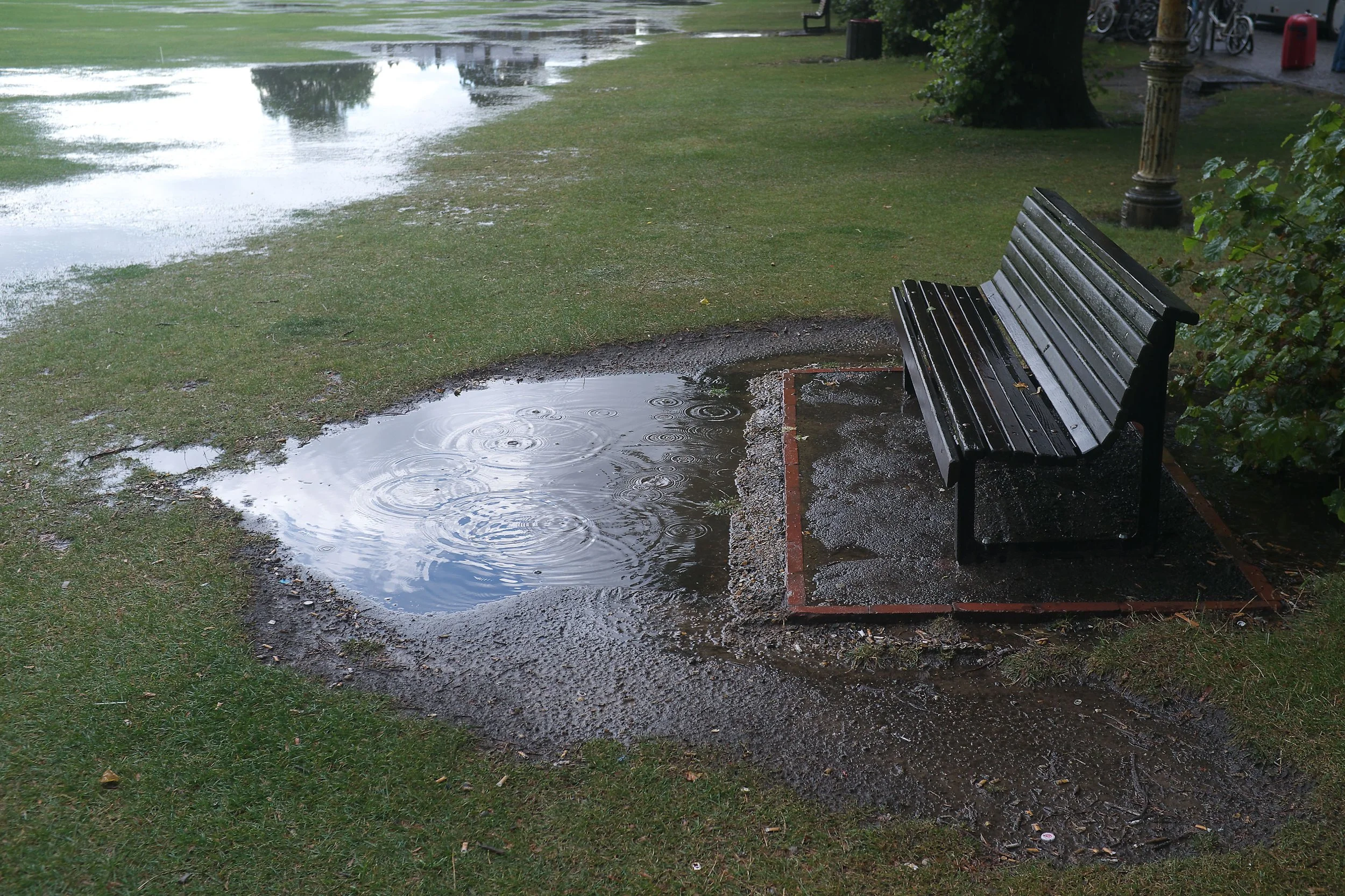 DSCF9424.jpg