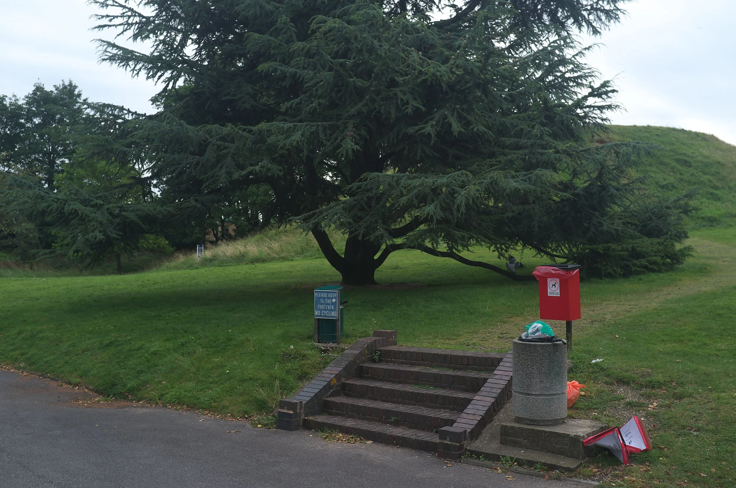 DSCF9708.jpg