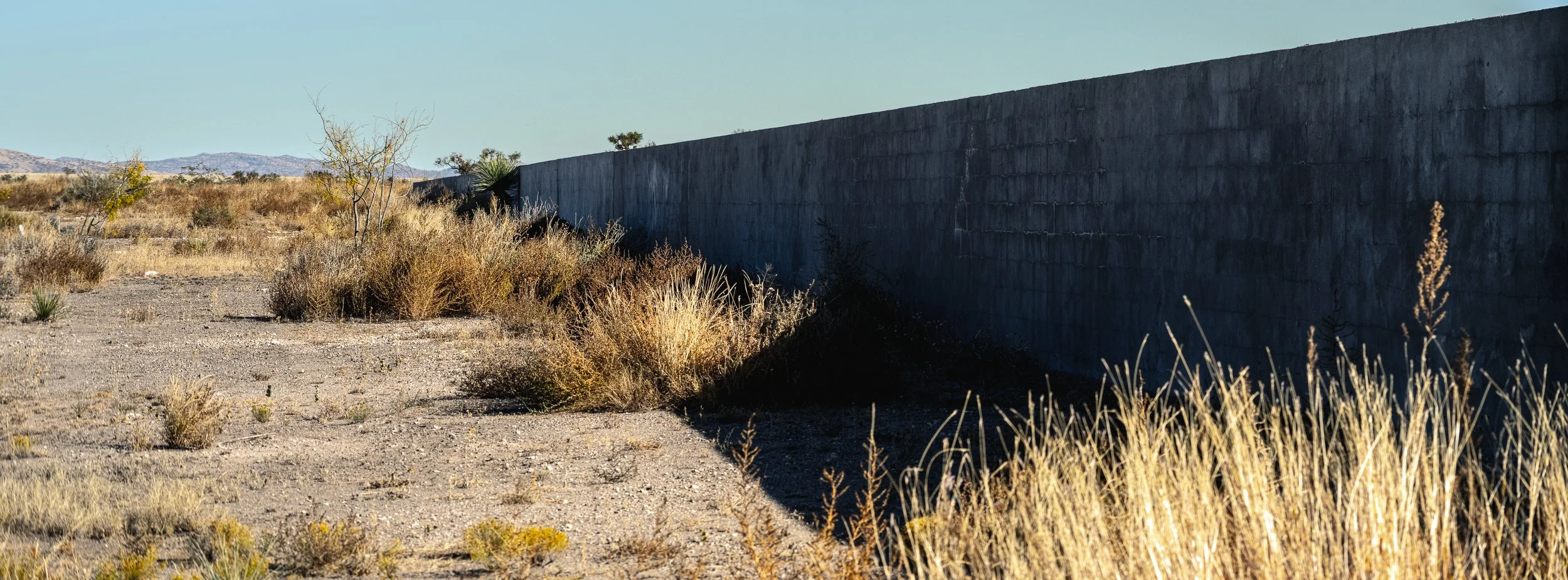 djr2025_Marfa_FriedmanRanch-3.jpg