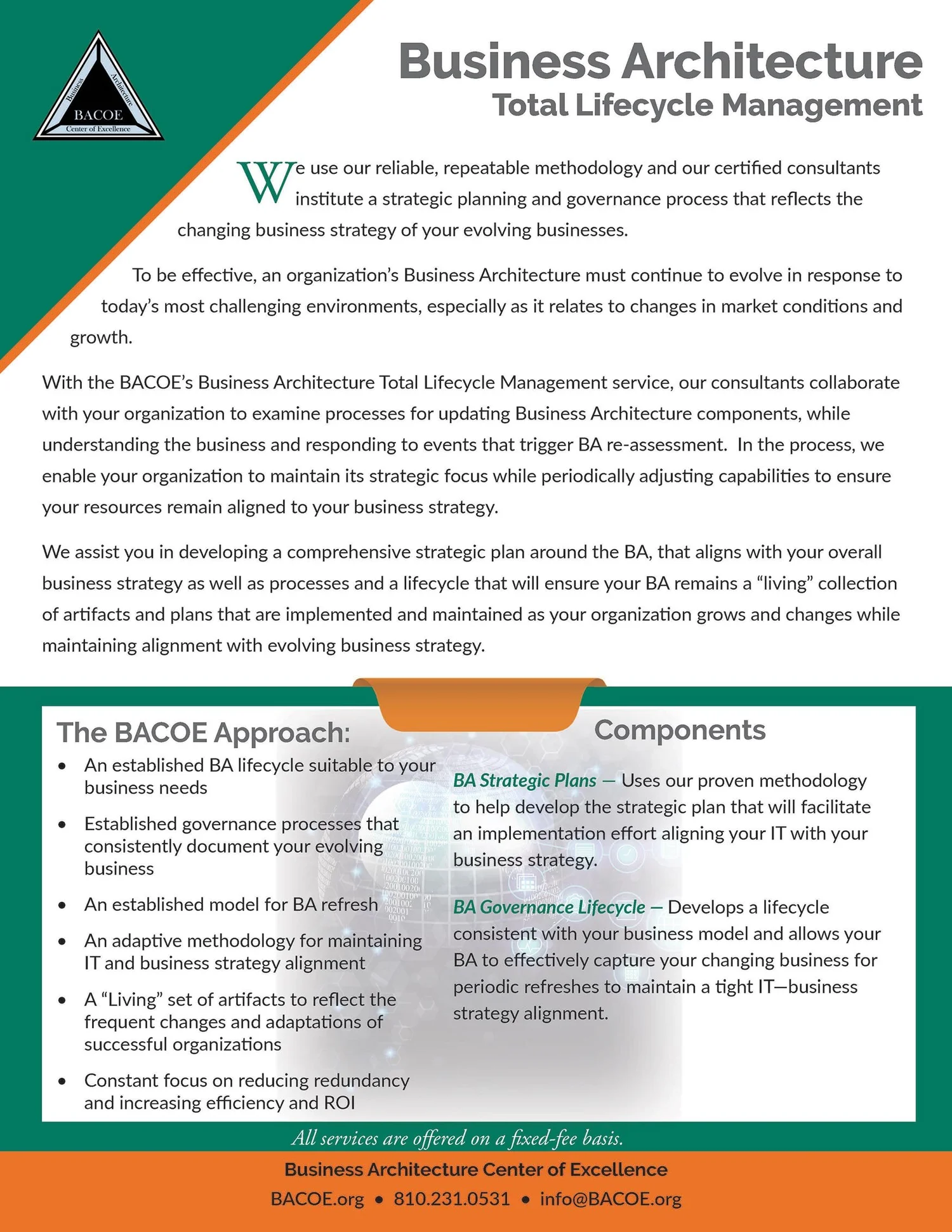 Business Architecture Consulting Services | BACOE