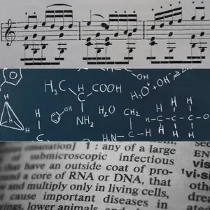 Methodology Examples (Songs, Chemical Compounds, Words)