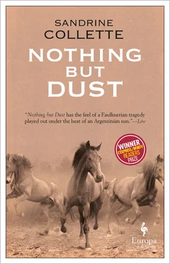 nothing but dust.jpg