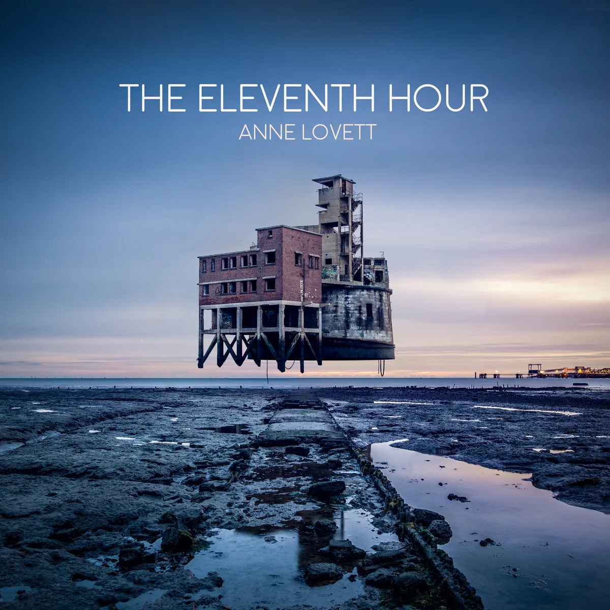 Anne Lovett Releases 'The Eleventh Hour'
