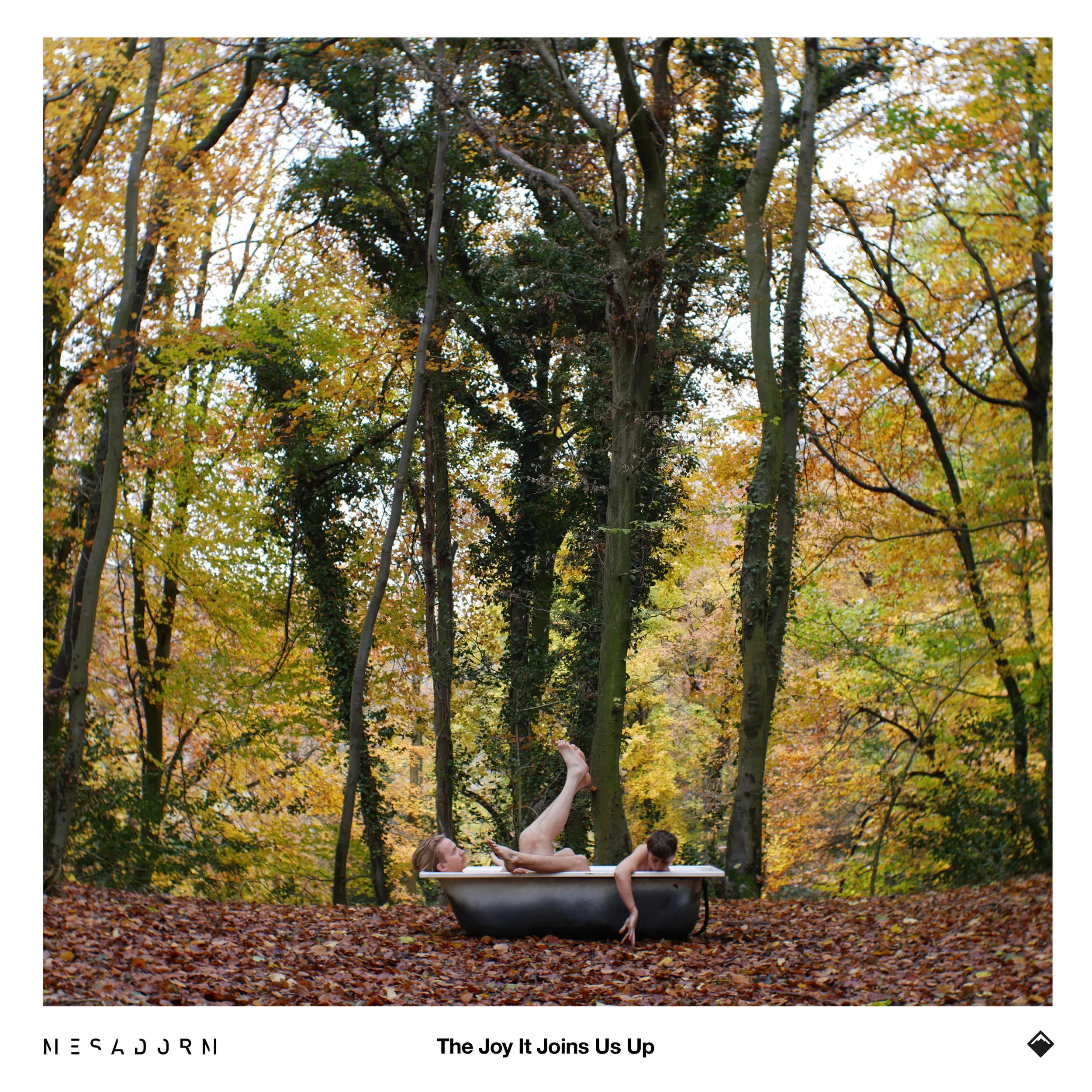 Mesadorm Release New Single  'The Joy It Joins Us Up'