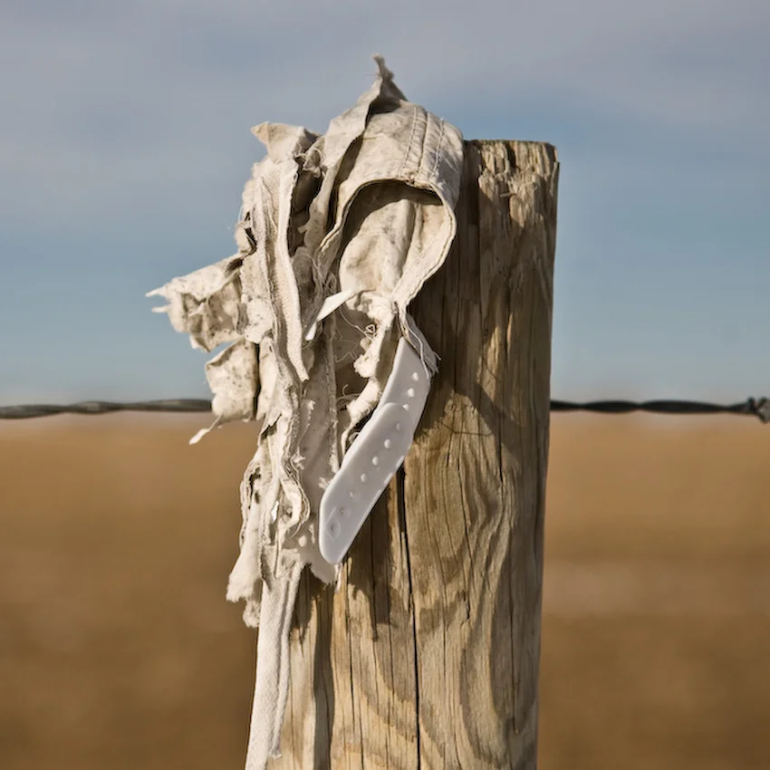 Fenceline_1_11.jpg