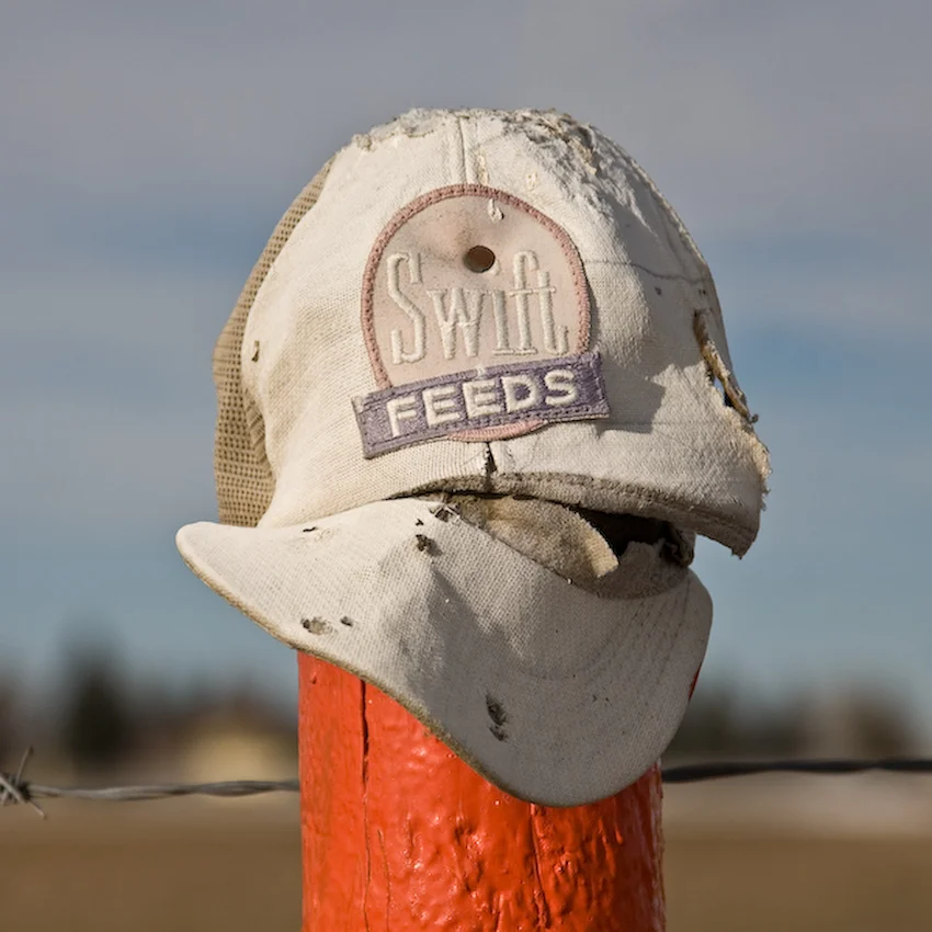 Fenceline_1_13.jpg