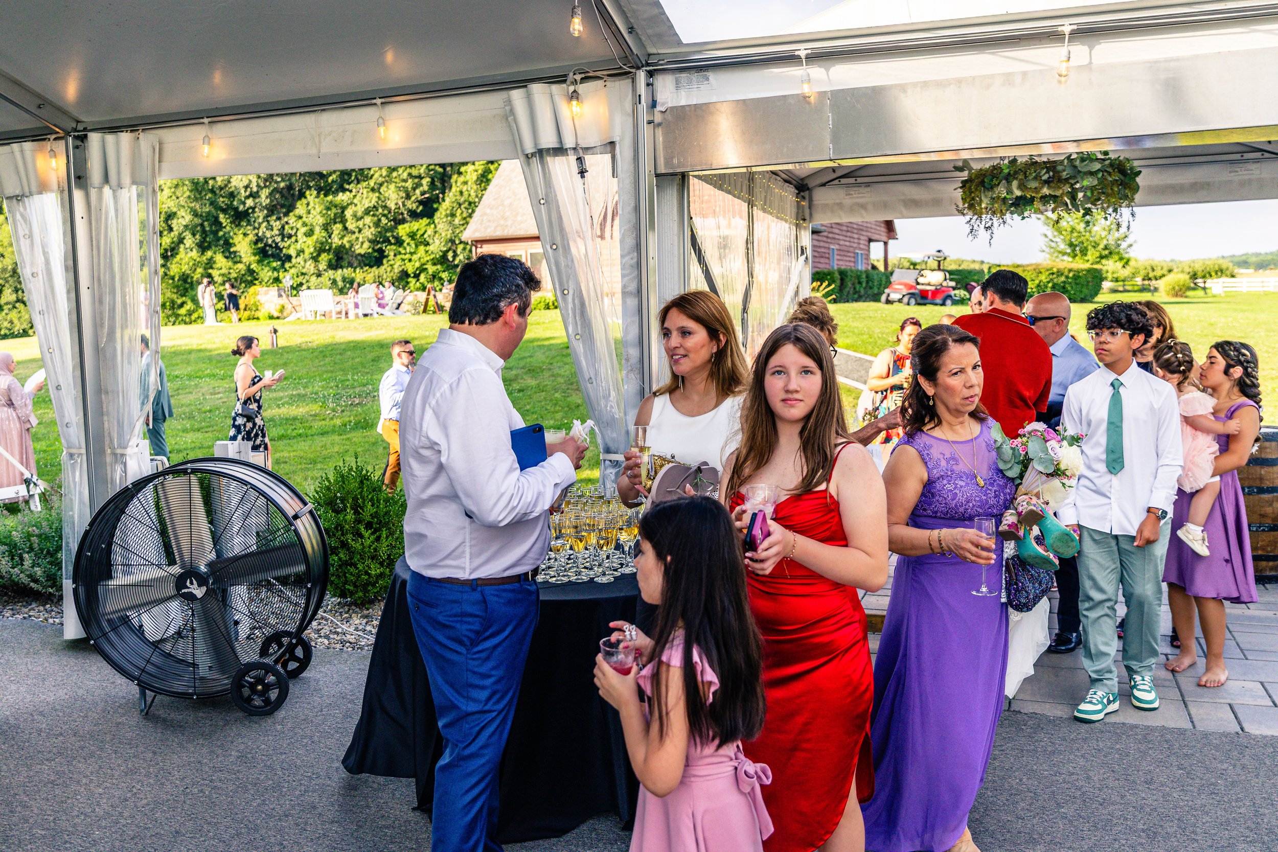 Guests at an outdoor celebration or wedding under a tent, with a grassy field and trees in the background, mingling and holding drinks.