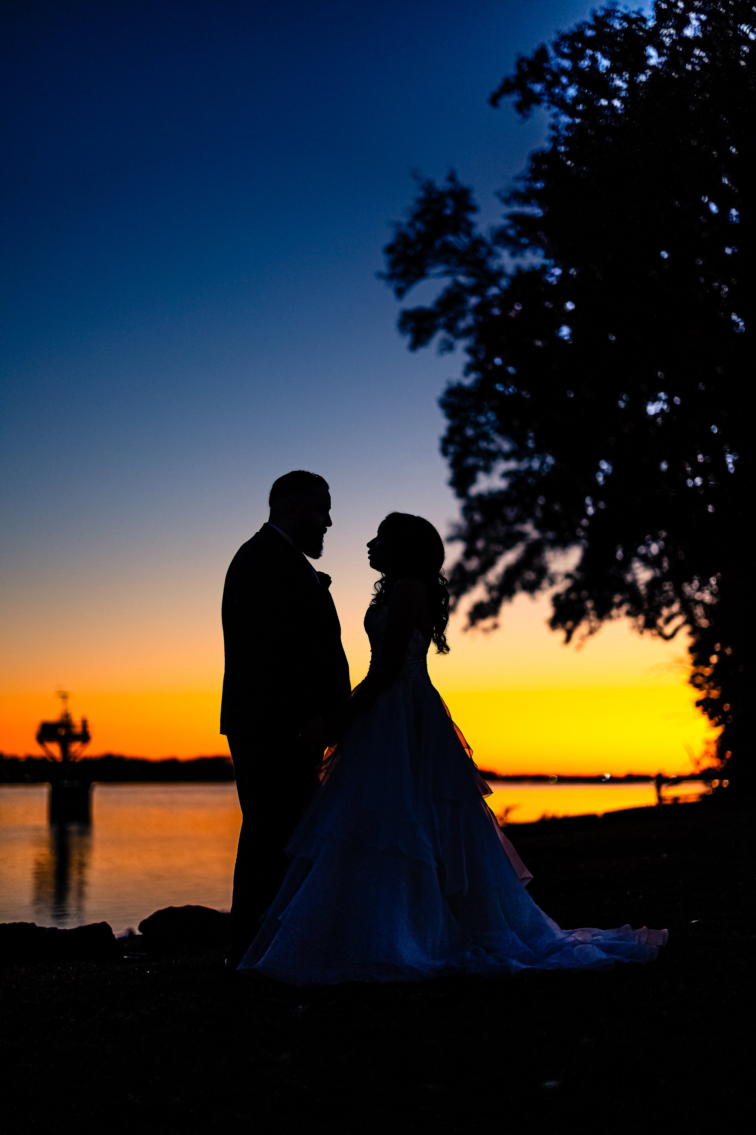Silhouetted couple holding hands by a body of water during a sunset, with a large tree on the right and a small boat in the background.