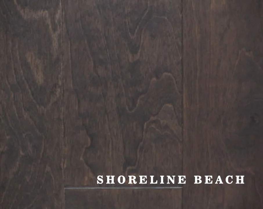 Shoreline Beach
