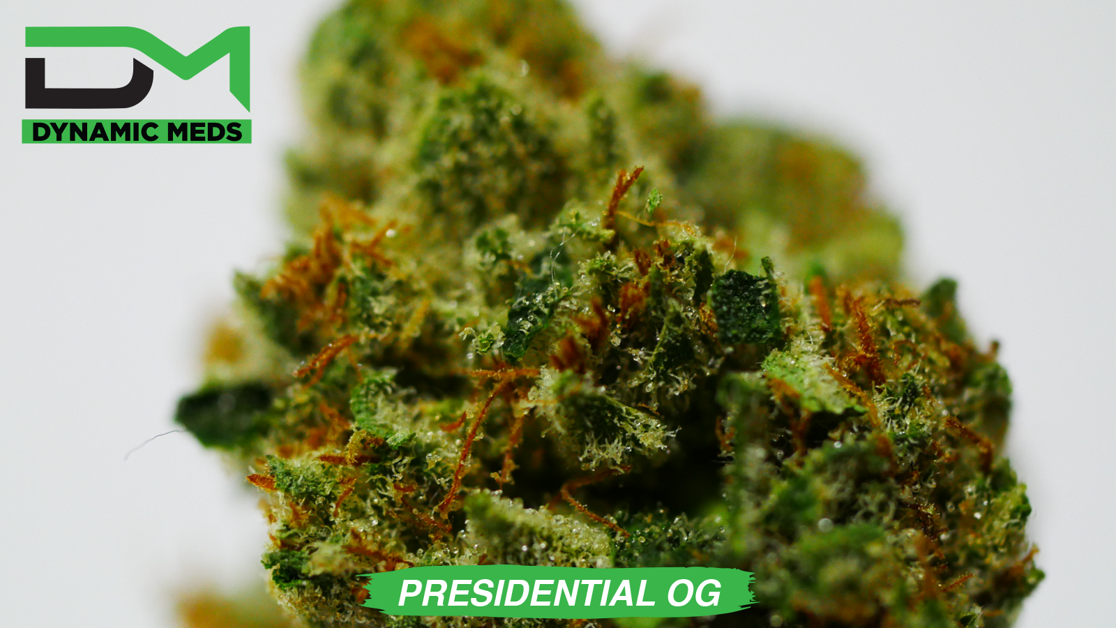 DM_Presidential_OG_WM_menu_pic.png