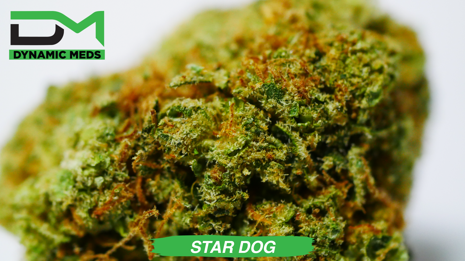 DM_Star_Dog_WM_menu_pic.png