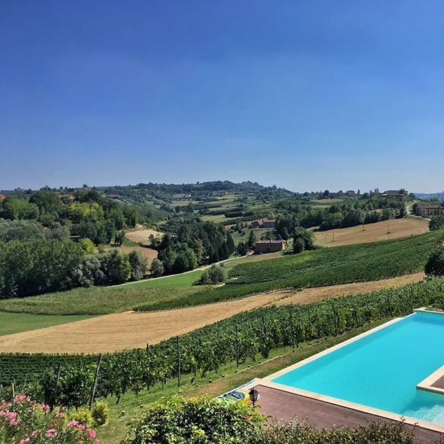 Heaven is a swimming pool overlooking a vineyard #holidaysthatgobeyondtheordinary #holidayphilosophy #instatravel #winetour #ventomarino #piemonte #vineyardvibes #winetasting #winetourism #morettiadimariwines #asti #infinitypool #travelgram #heaven #