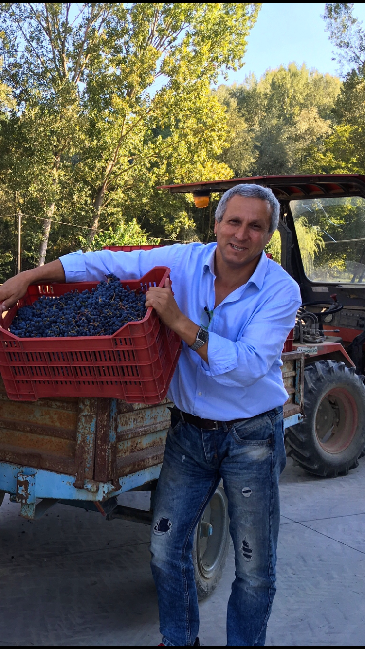  Vineyard Vibes in Piemonte&nbsp; 