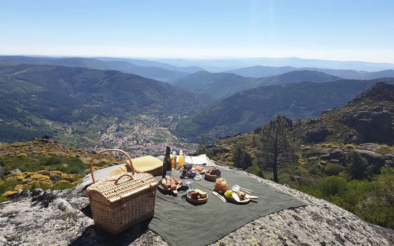 Basket-Picnic-1.jpg