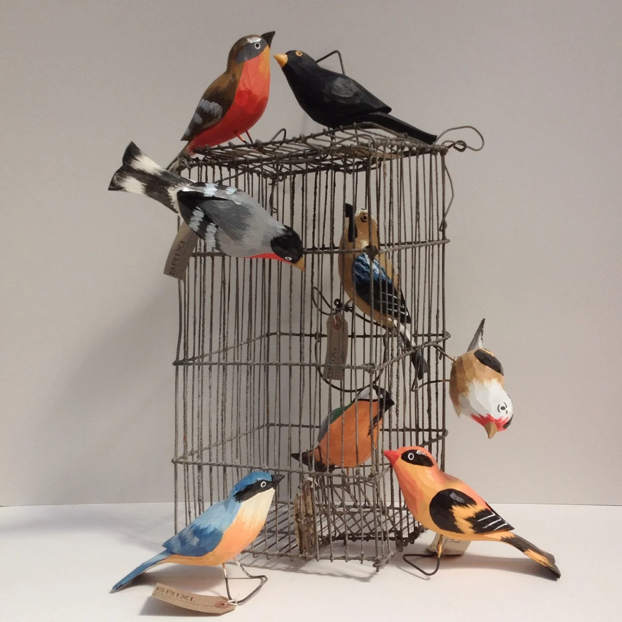 Brixi 3 birds.jpg