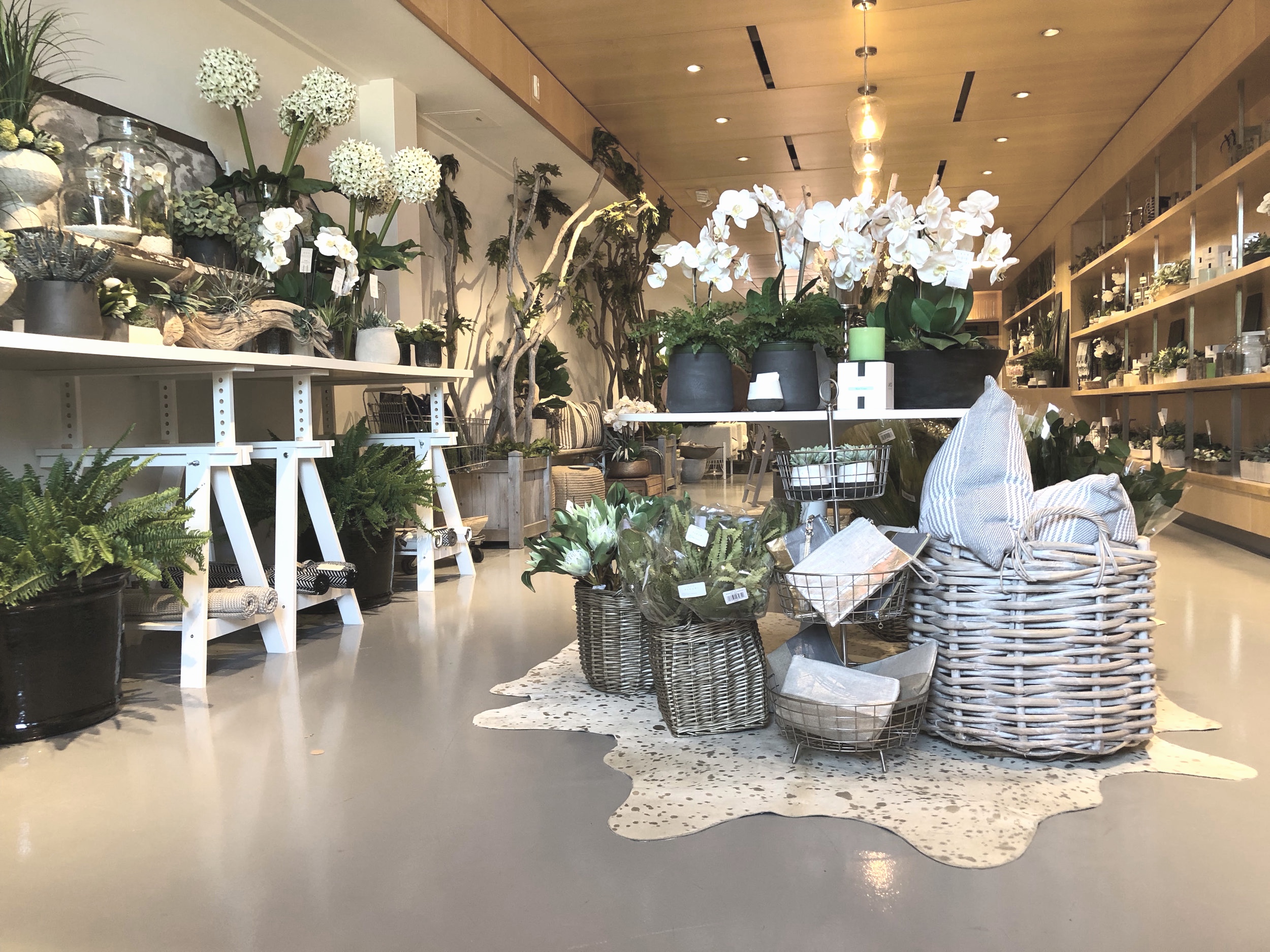 FLEURI - CHESTNUT HILL, MA