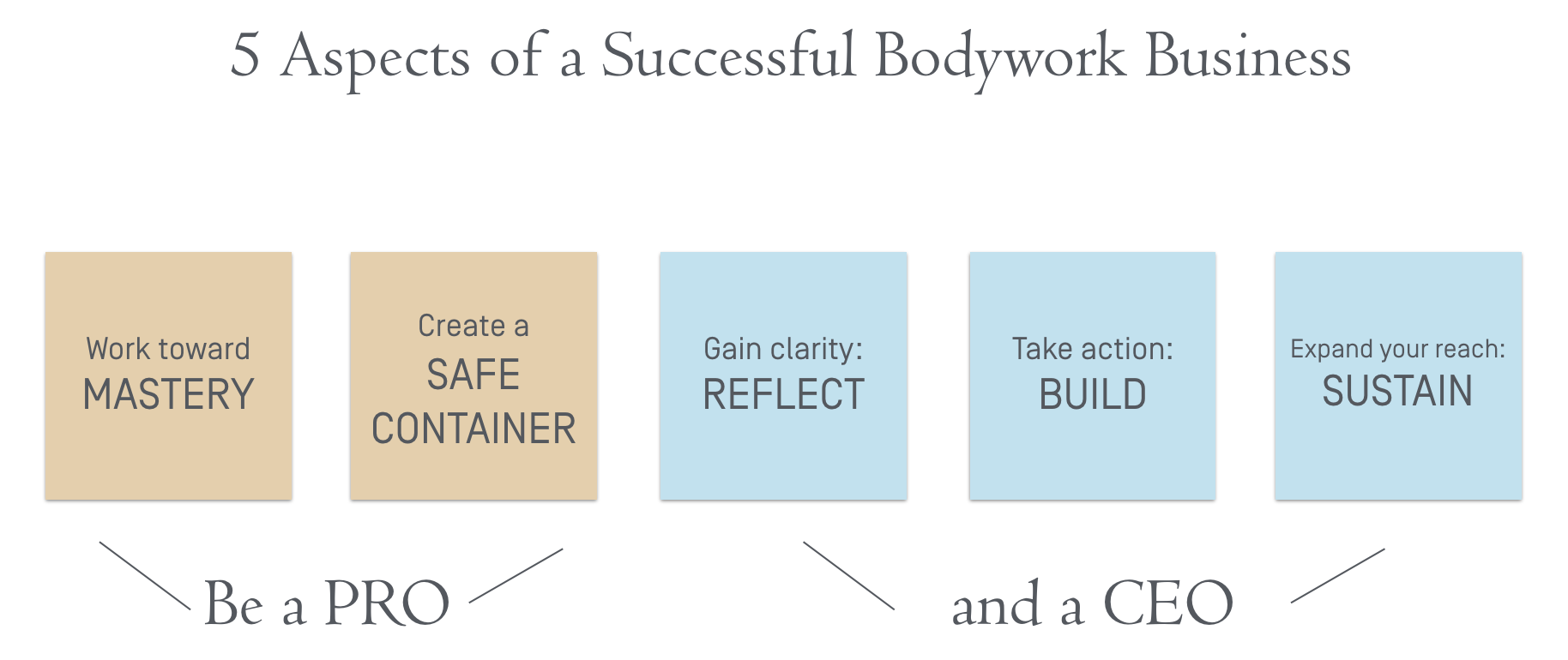 5 aspects of Bodyworker Biz.png