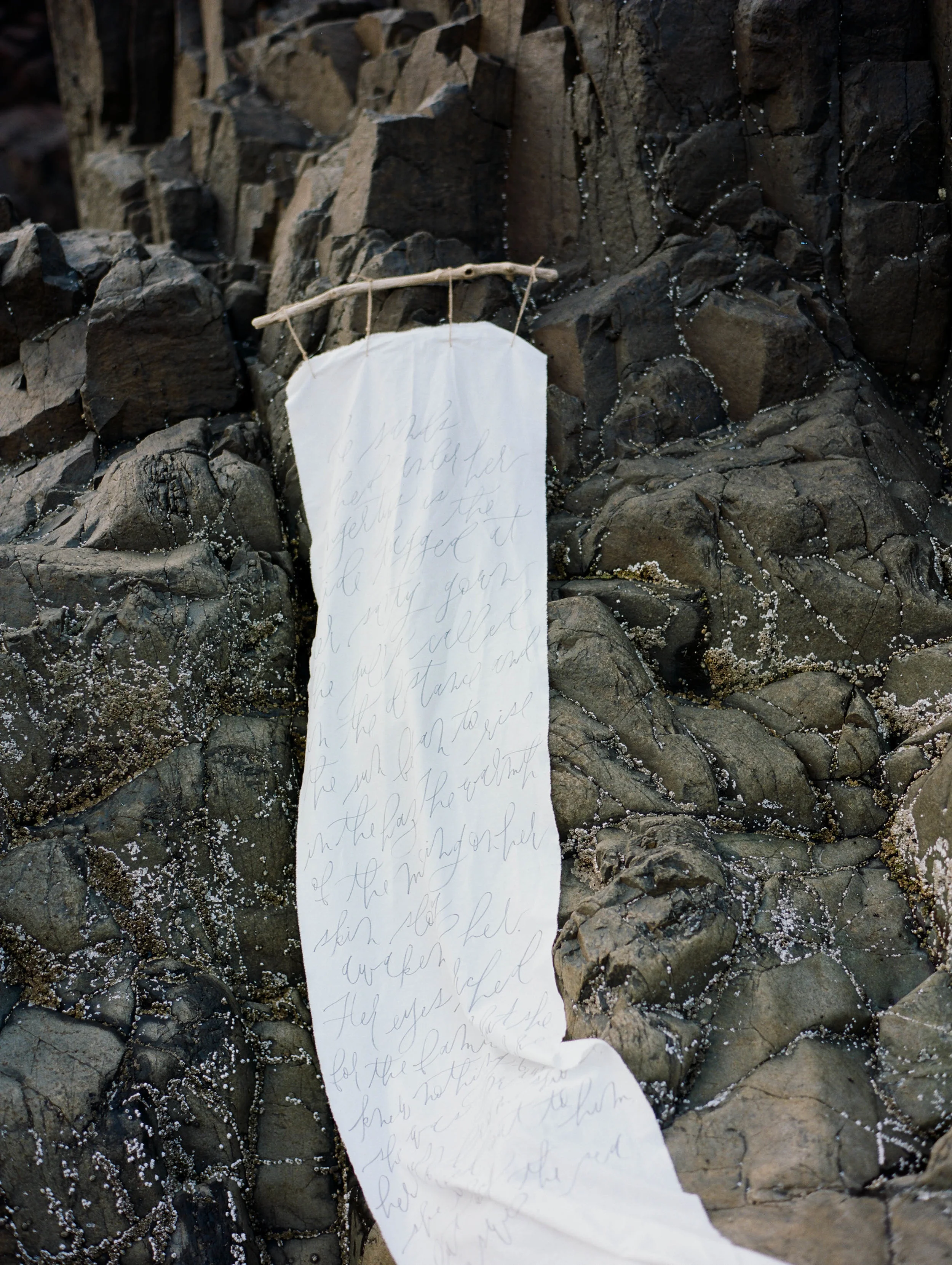 Adagio Editorial Shoot_Oregon Coast Workshop_Katie Rivera Photography_Fine Art Film Photography_013.jpg