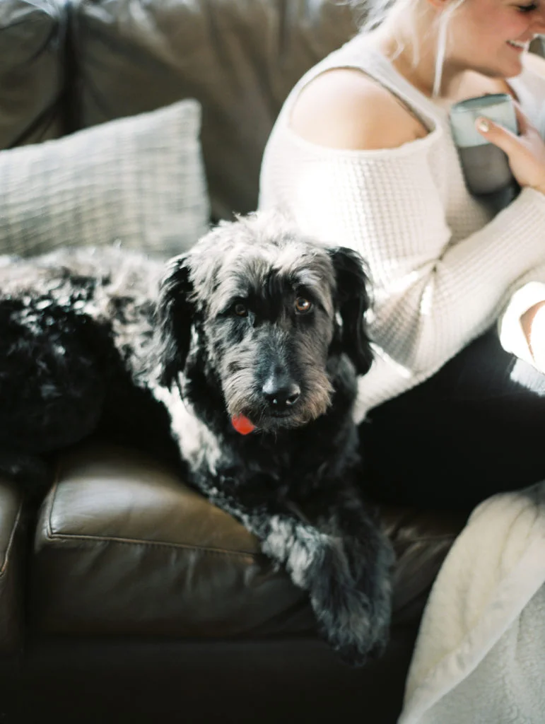 Dallas At Home Lifestyle Session Engagement