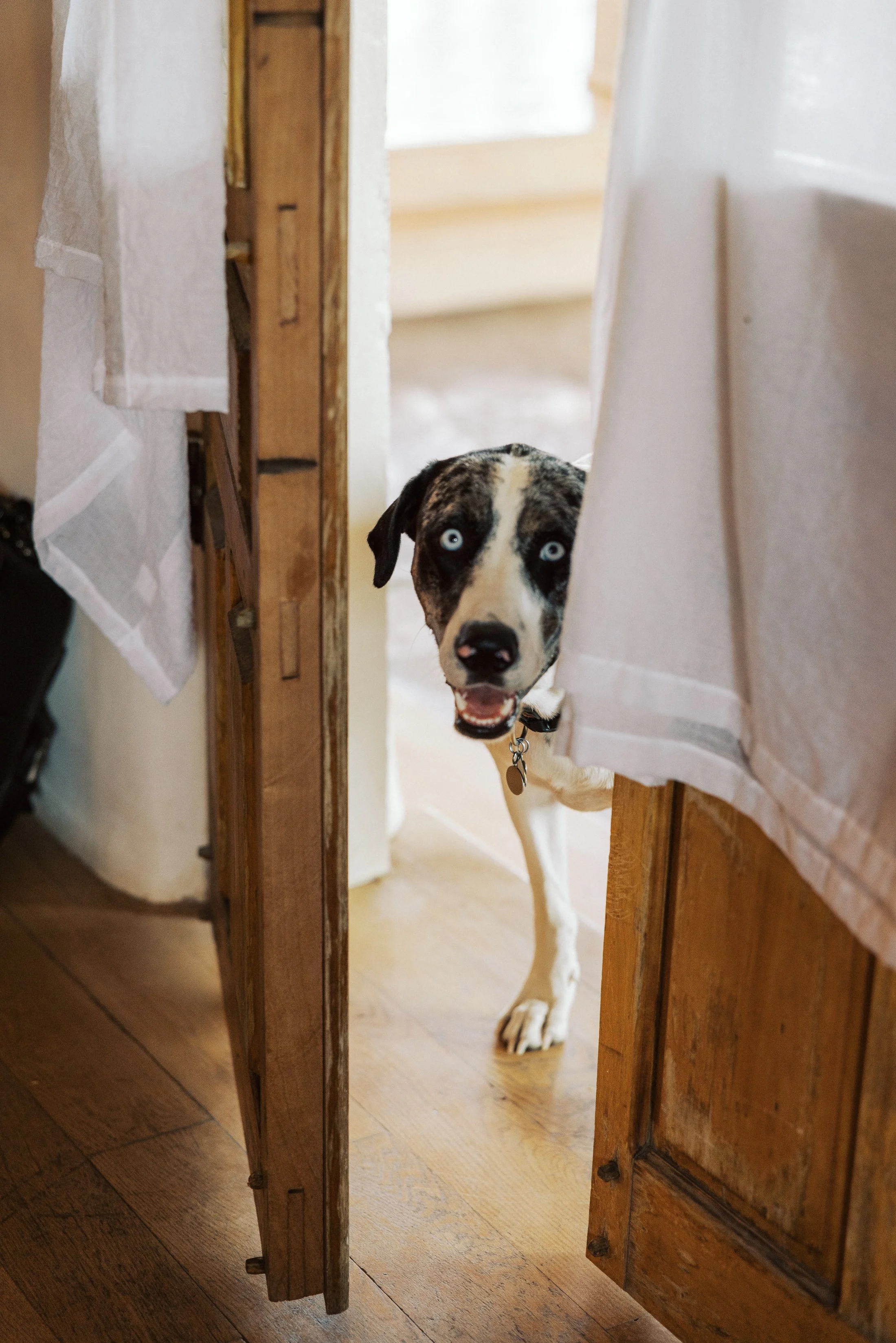 Private photo editor for wedding photographers Katie Rivera — luxury hybrid film matching and film emulation editing