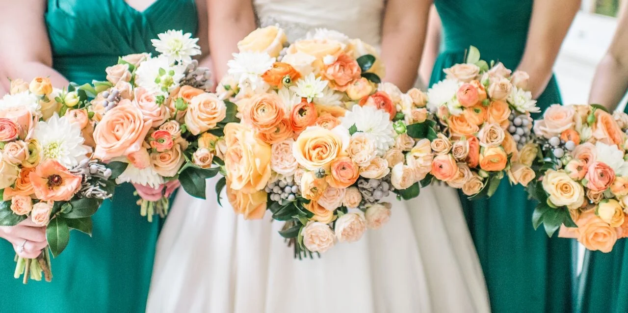 3-matt-tina-stevenson-ridge-virginia-wedding-photographer_-13_preview.jpg