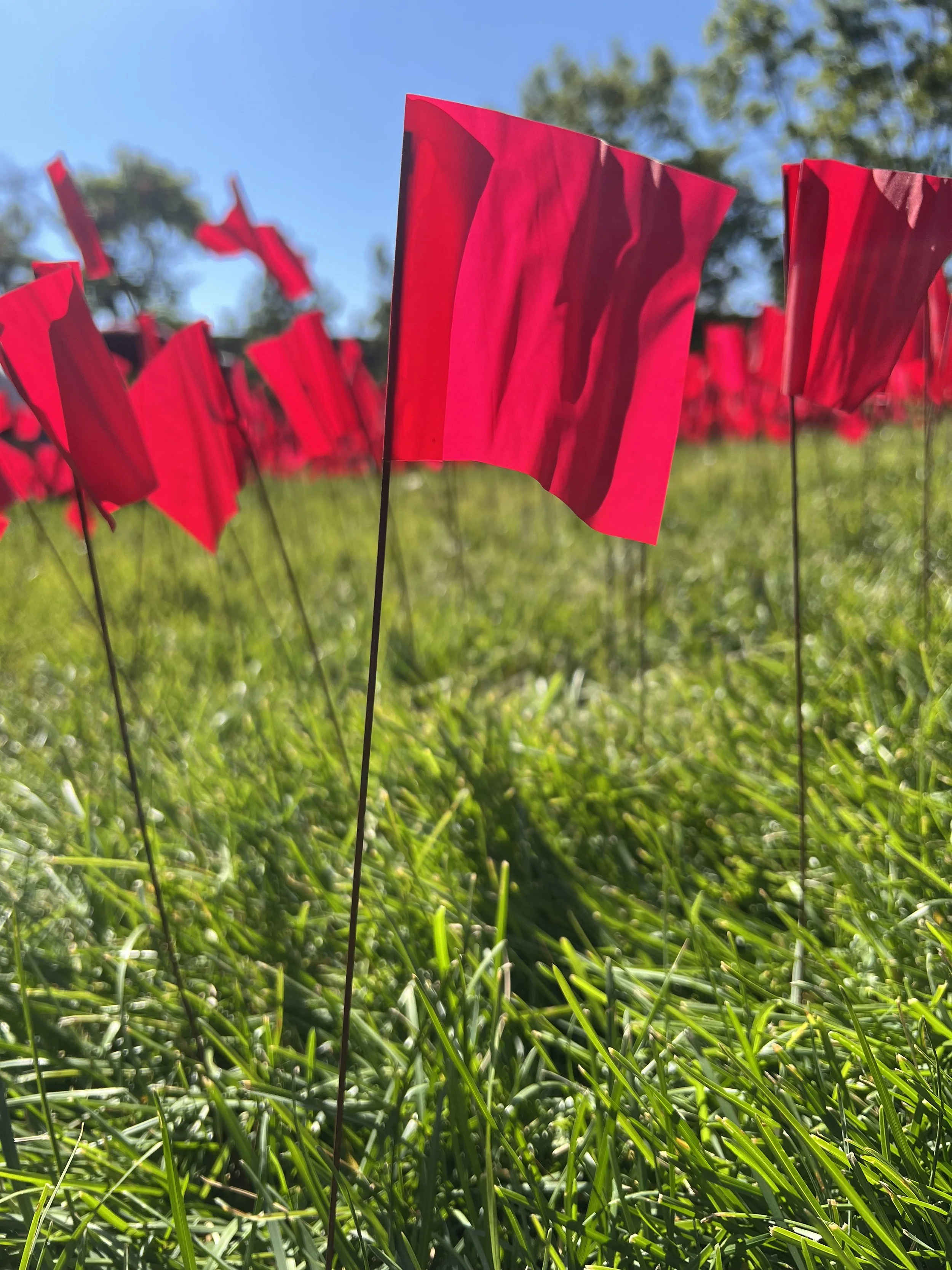 Red Flag Campaign: Take Down