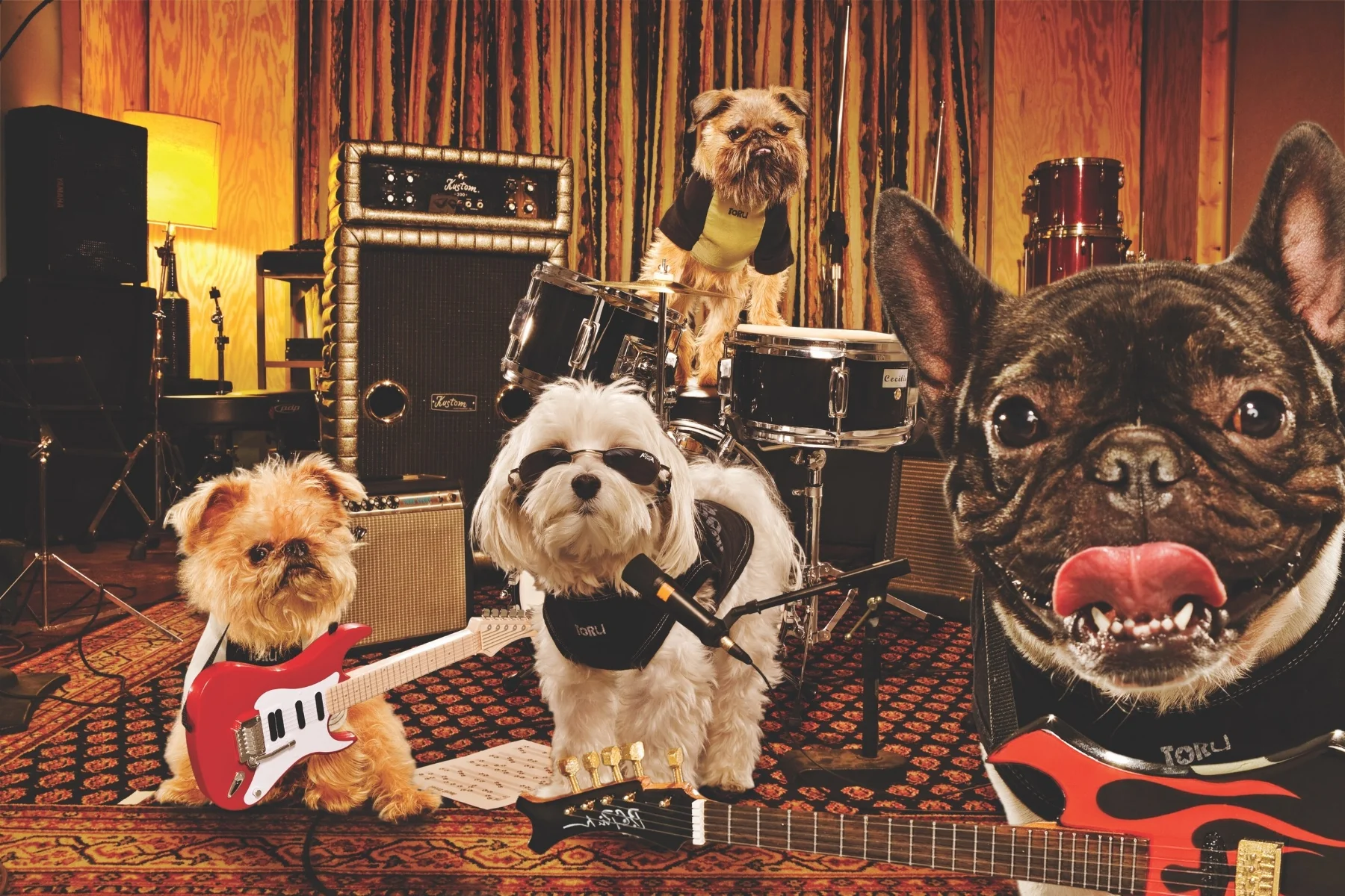 THEBANDTORU.jpg