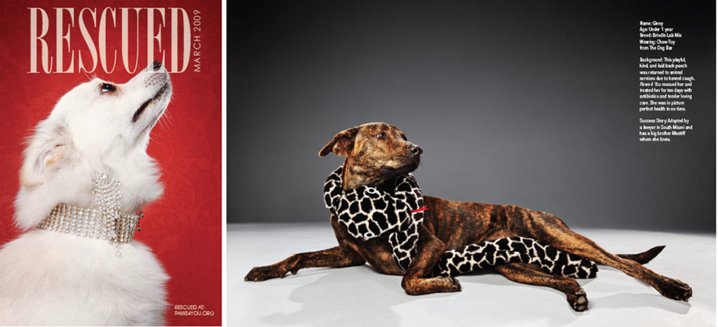 A booklet featuring adoption success stories were given out to all the guests at the benefit.