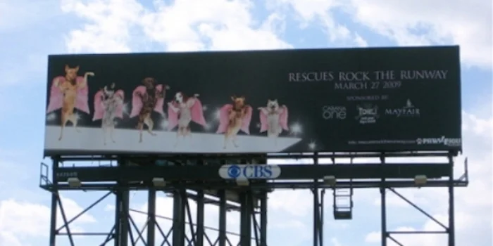 Billboard space donated by CBS gained prime exposure to our event.