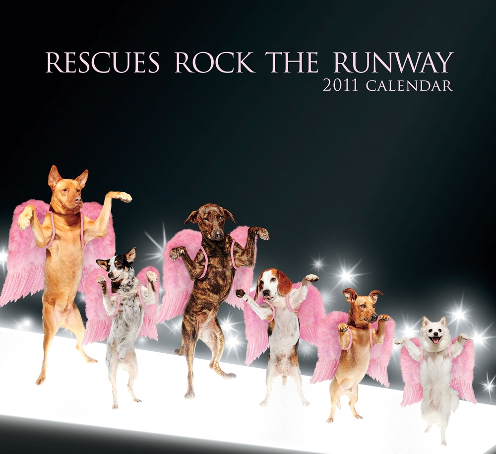 One year later, we published a charitable calendar on Amazon which sold out and raised more funds for our rescues.