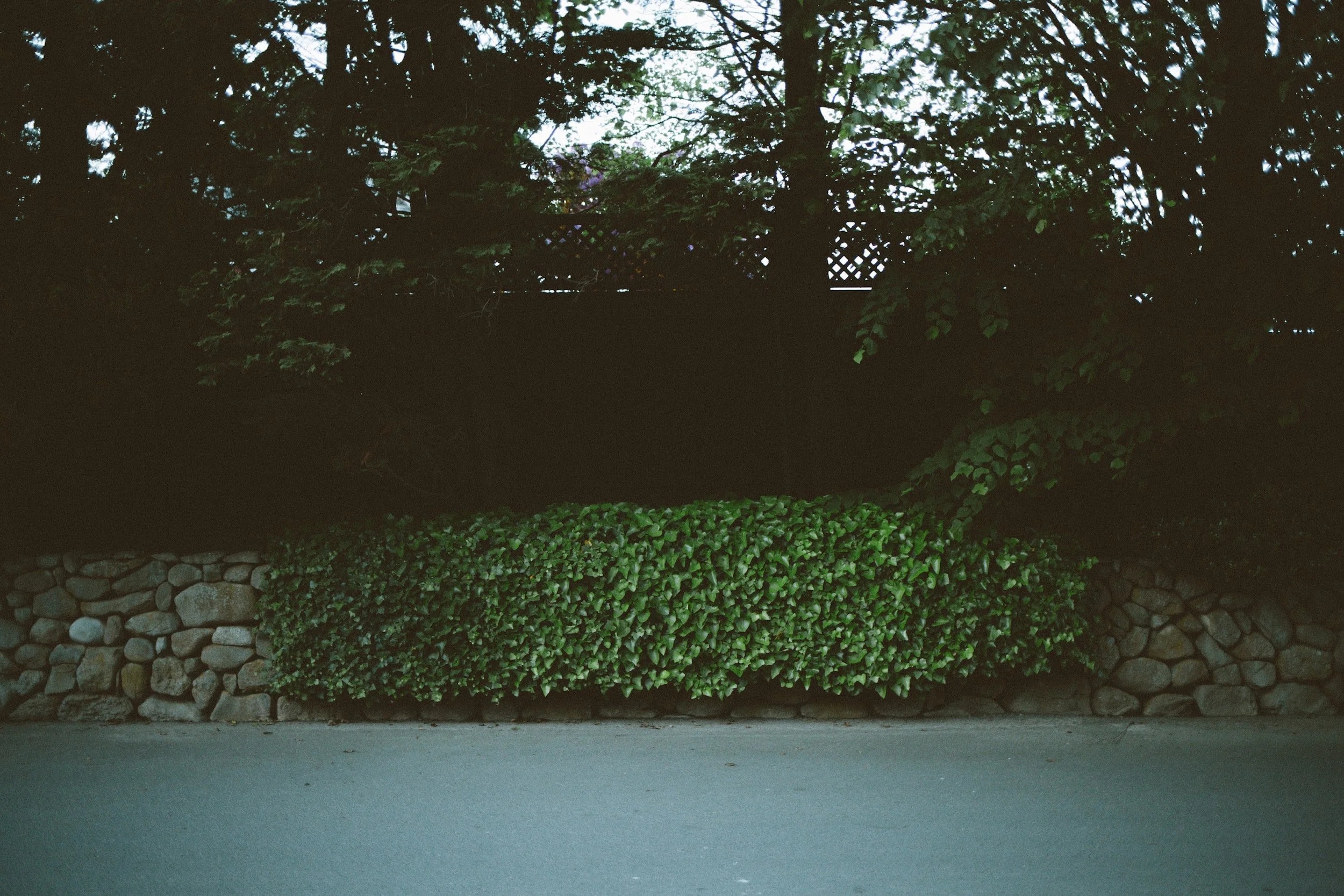 unsplash-image-7PCH0uapixc.jpg