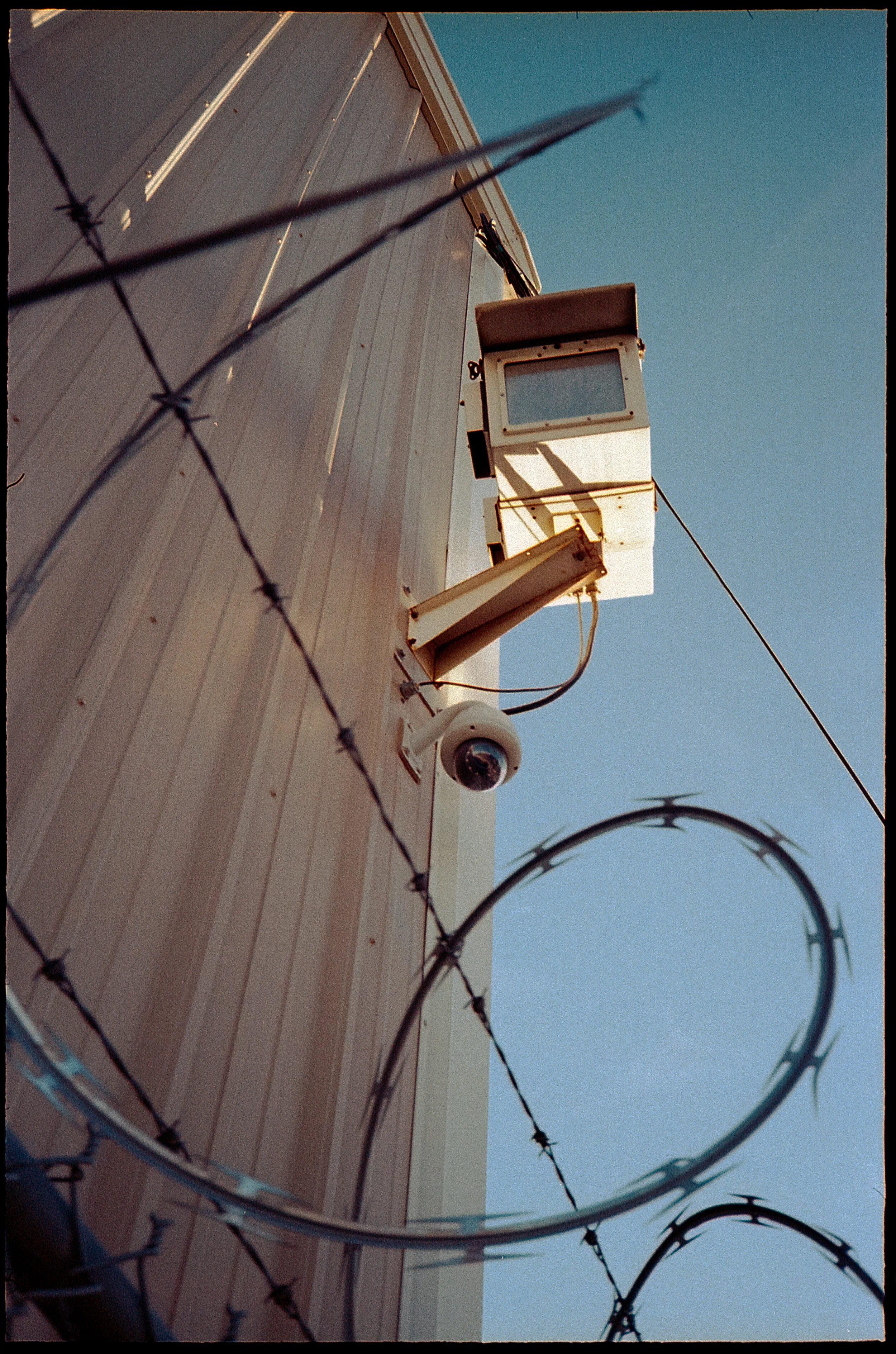 img239.jpg