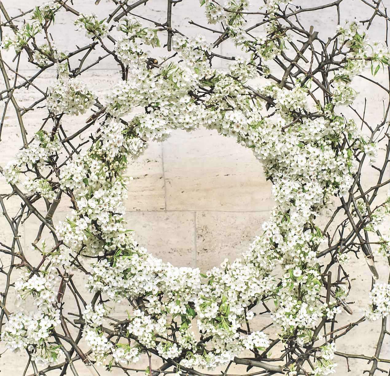 Joseph-Massie_Online-Courses_Luxury-Floral-Design_The-Flower-Class-Membership_E-Books-The-Flower-School-Book_The-Flowers-After-Hours-Podcast