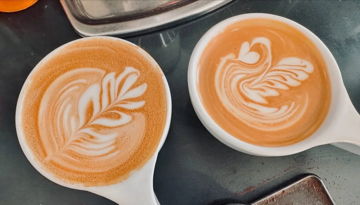 Leo latte art appreciation post! @leotovarmusic 🦢 🌷🌿 #risedriggs #latteart #baristalove